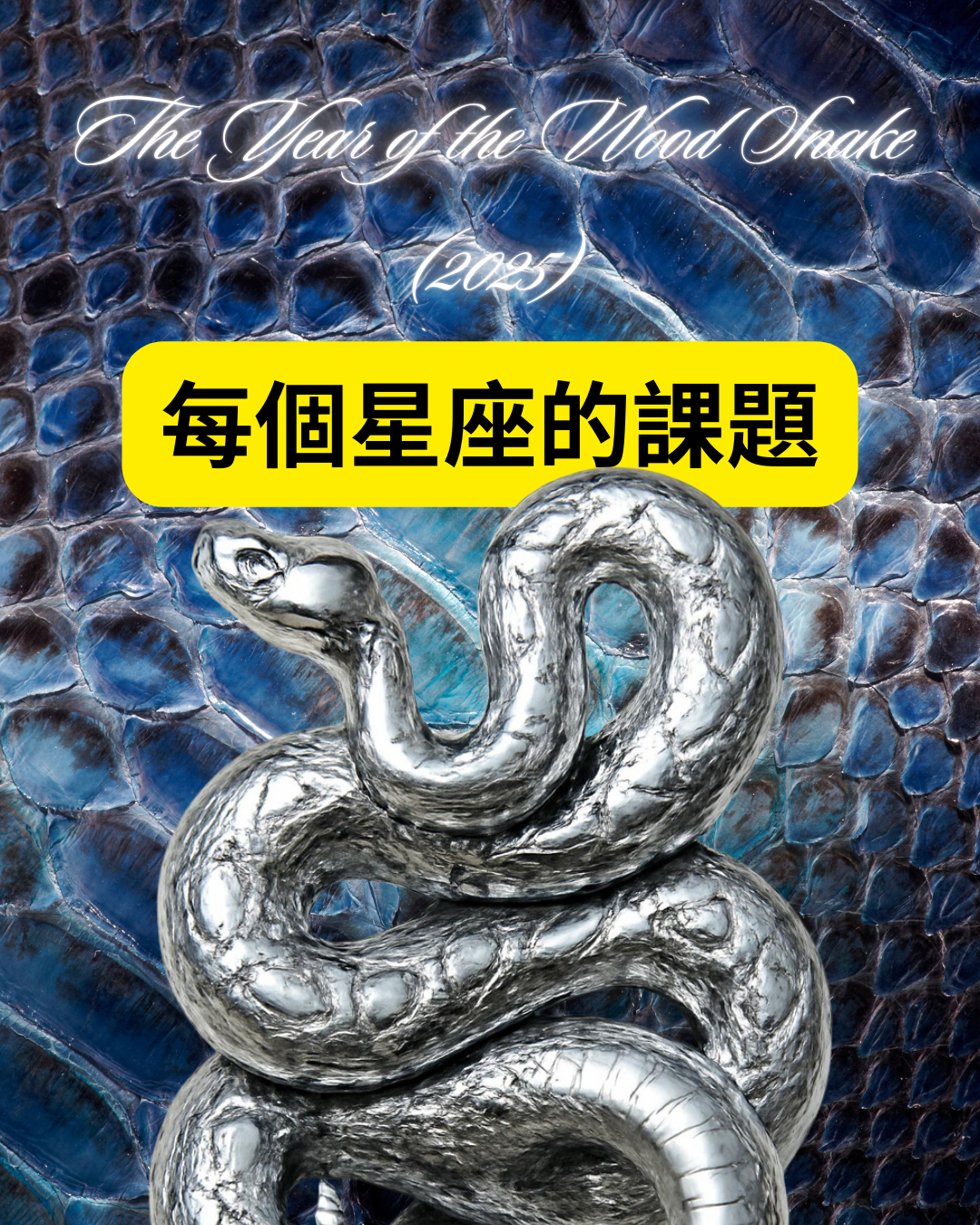 The Year of the Wood Snake (2025): Quiet Power, Strategy, and Long-Game Growth