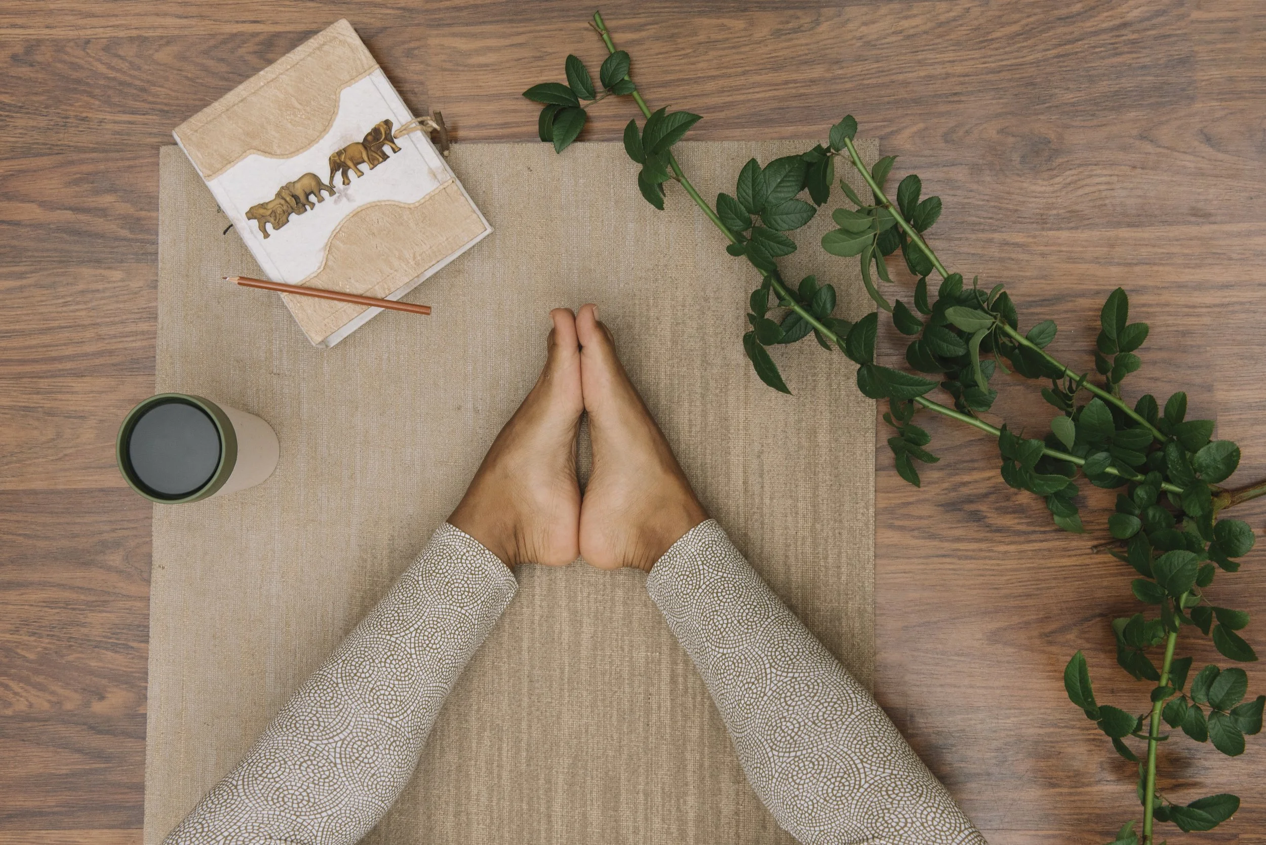 DSC_3225ed - REVISED.JPG