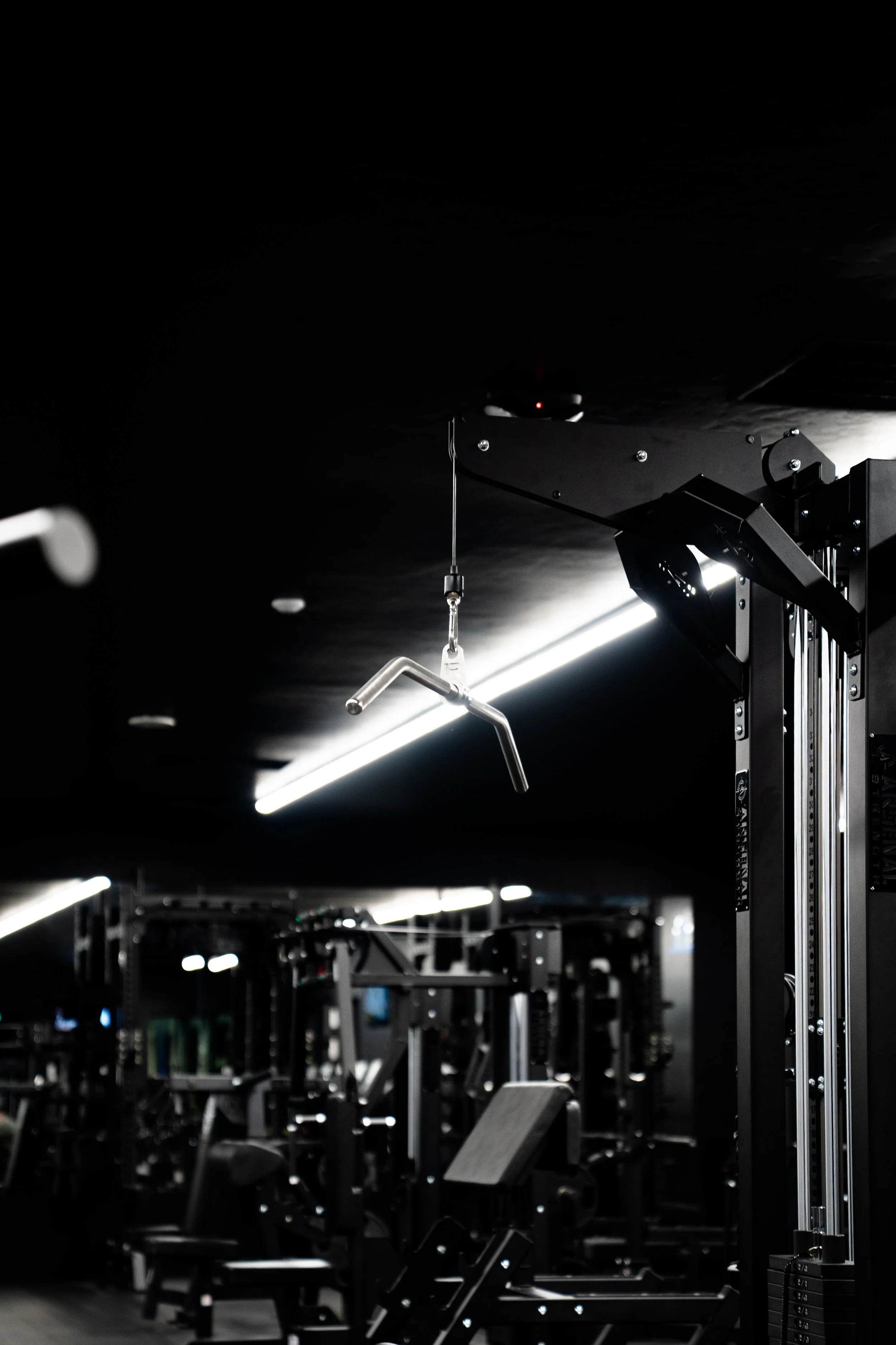 Single Annual Membership