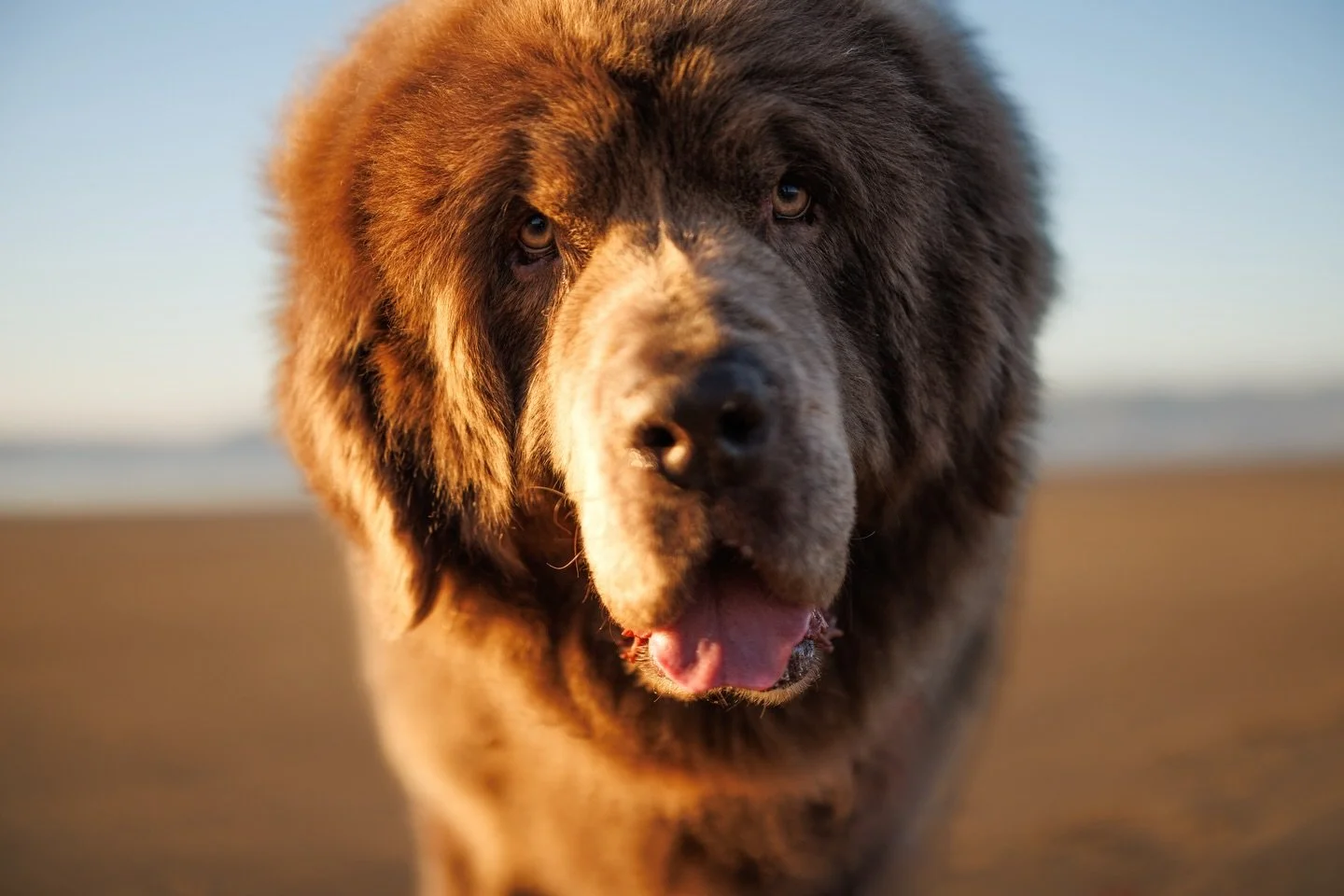 I know my weekend&rsquo;s gonna be great because it&rsquo;s starting off with seeing this guy again 🤍
I mean&hellip; who could have a bad day with Shinji?!