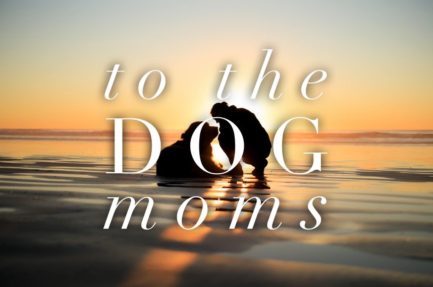 Happy Dog Mom&rsquo;s Day 🤍