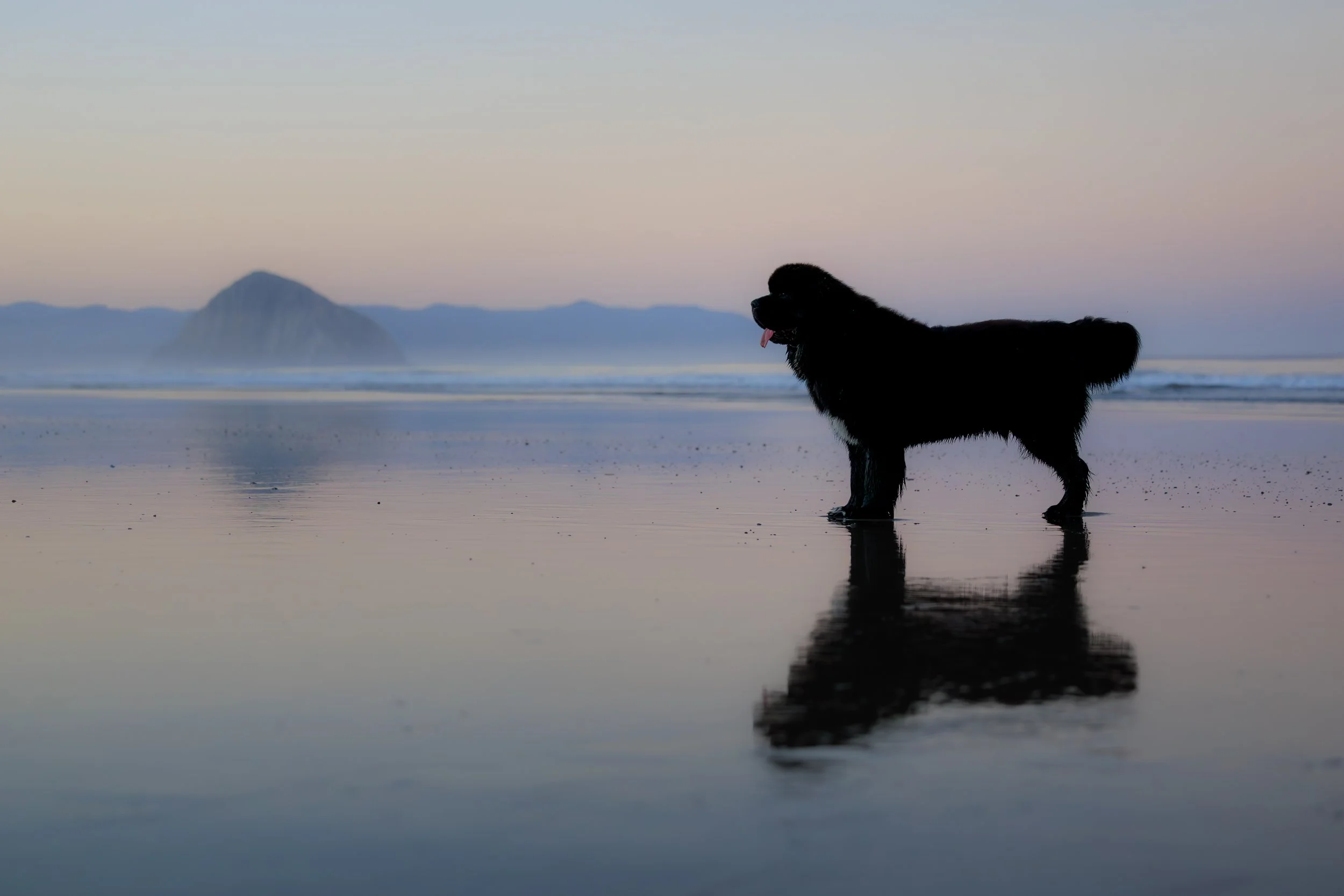 Makani + Blaze-31.jpg