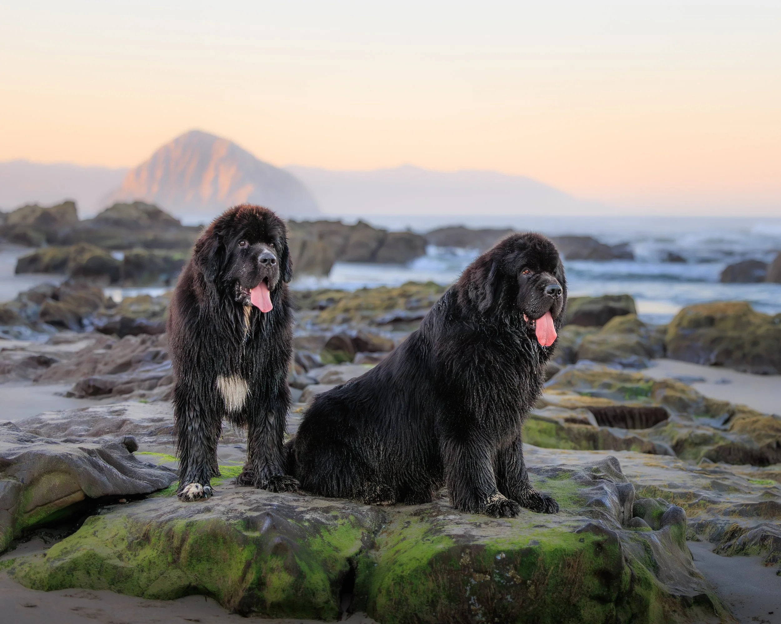 Makani + Blaze-24.jpg