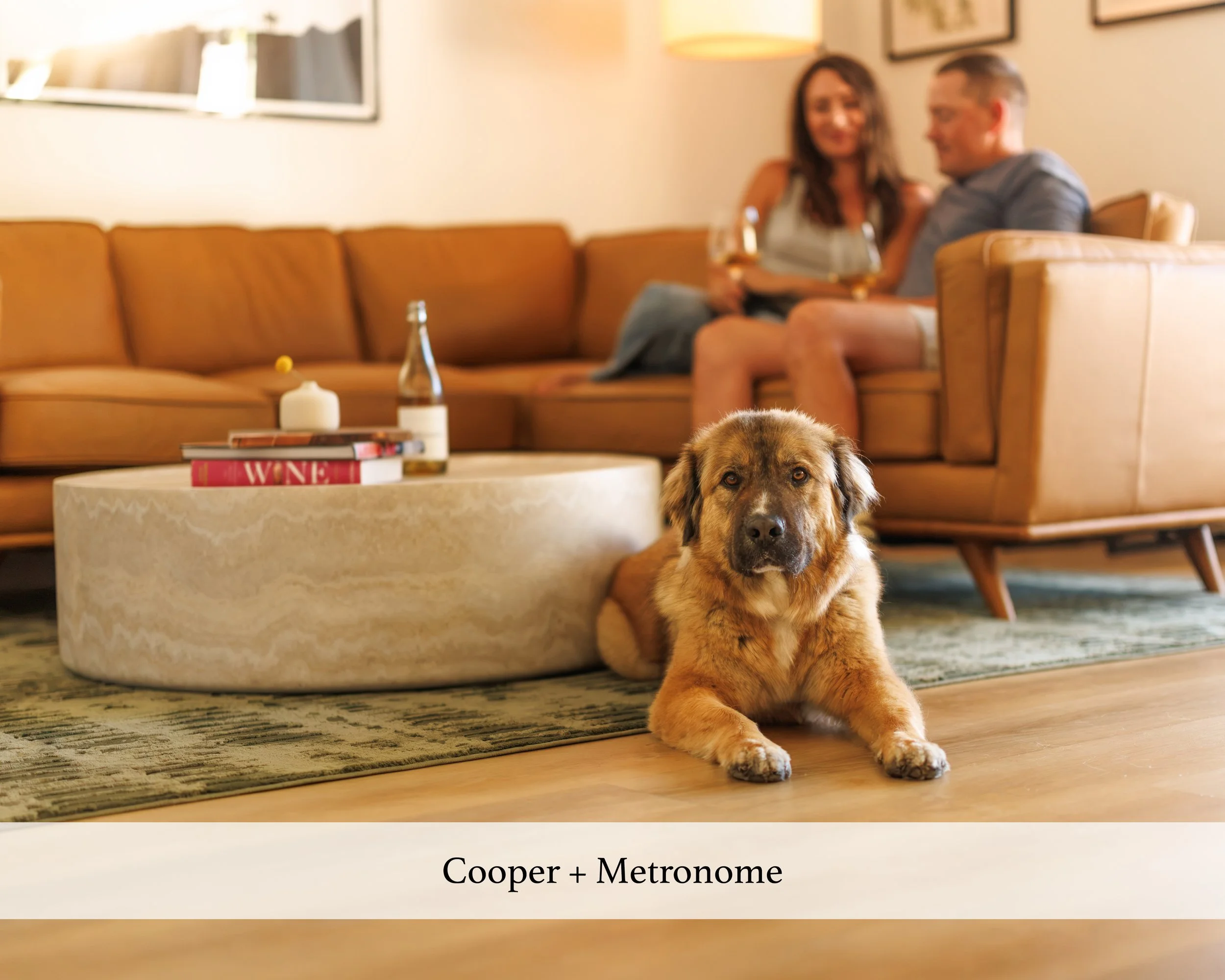 Cooper + Metronome.jpg