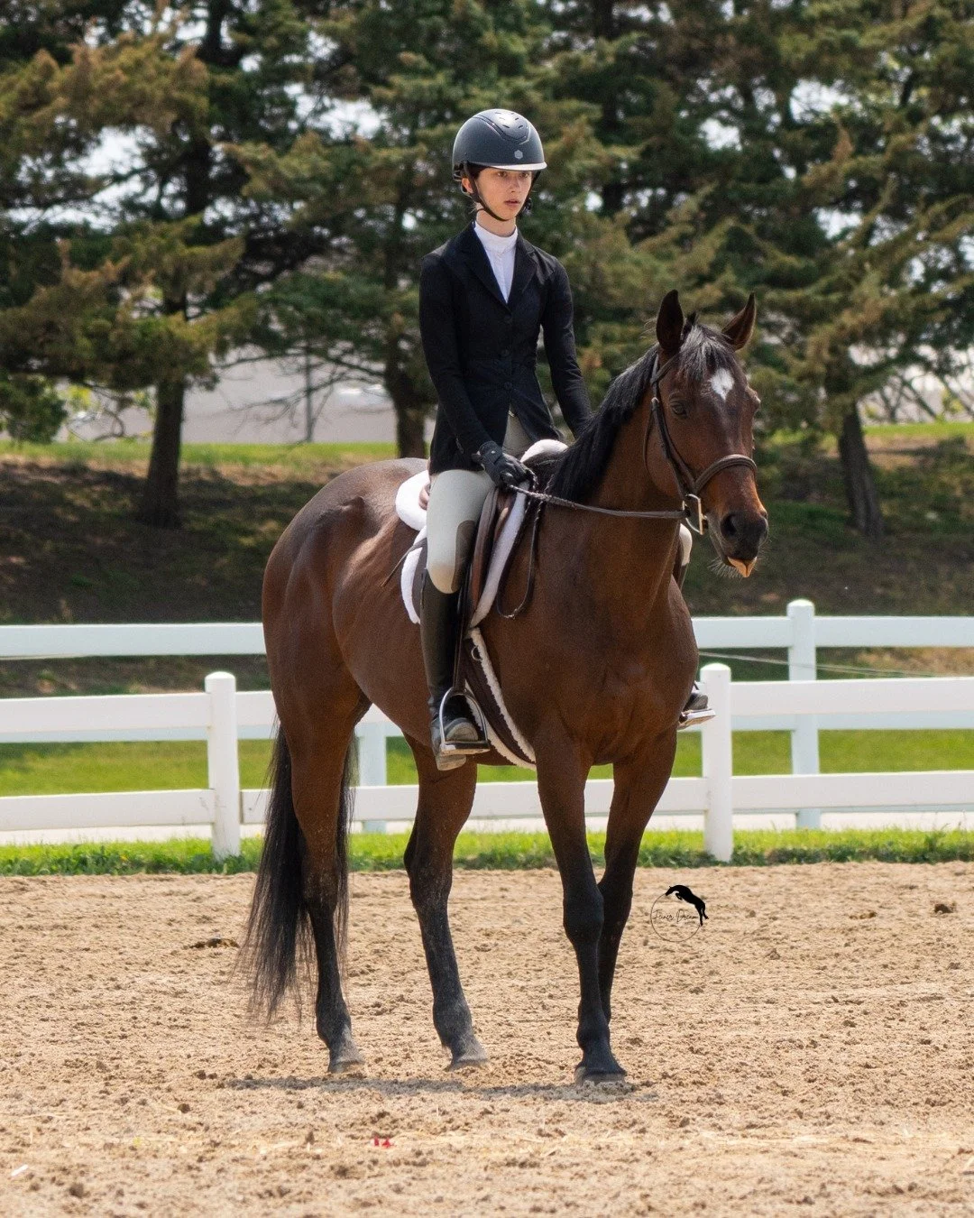 Molly says: sun's out tongues out 😛

Cuteness aside, here's some extras from a few weeks ago!

#equinephotographer #horsephotography #equine
#horse #equestrian #photography #northernillinois
#southernwisconsin #northernillinoisphotographer
#southern