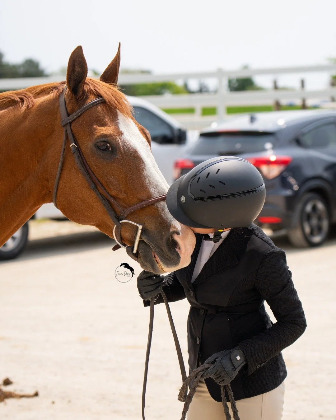 These two are just the cutest!

#equinephotographer #horsephotography #equine
#horse #equestrian #photography #northernillinois
#southernwisconsin #northernillinoisphotographer
#southernwisconsinphotographer #horseshow
#horseshowlife #hunterjumper
#h