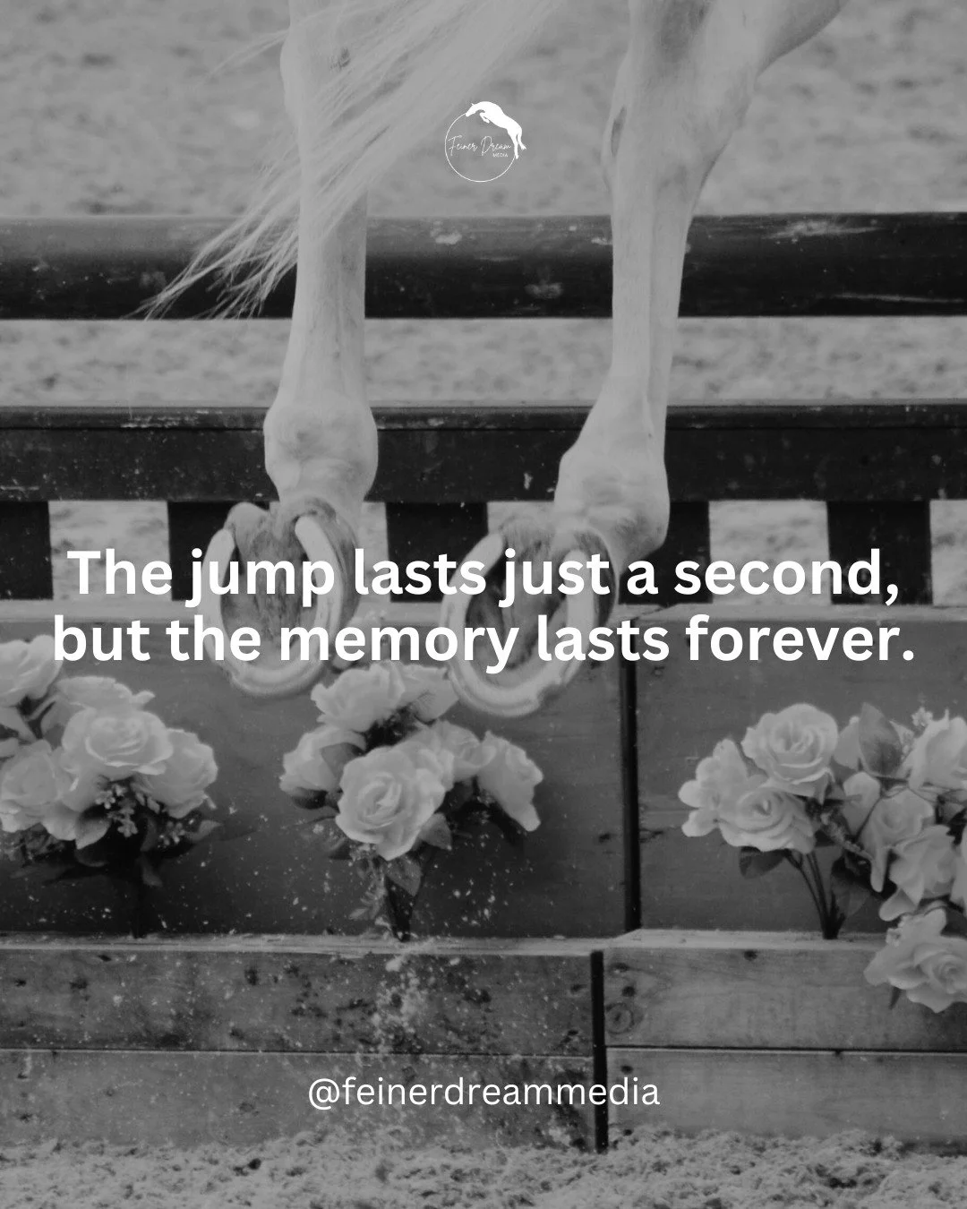 Freezing the perfect moment matters 📷

#horsephotography #barnlife #horselove #northernillinois #southernwisconsin #equestrian #horseriding #horsevideography #memory #showjumping