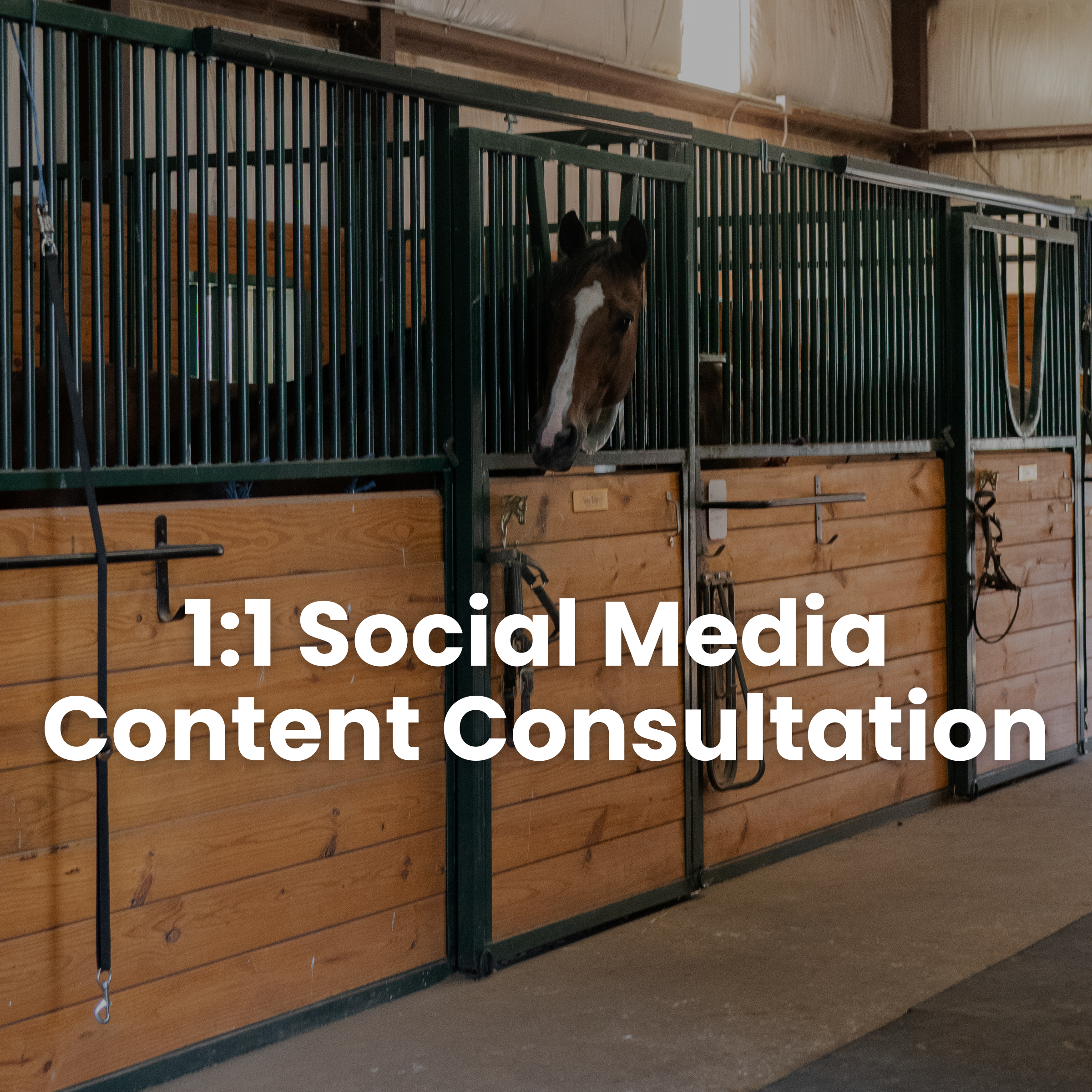 1:1 Social Media Content Consultation