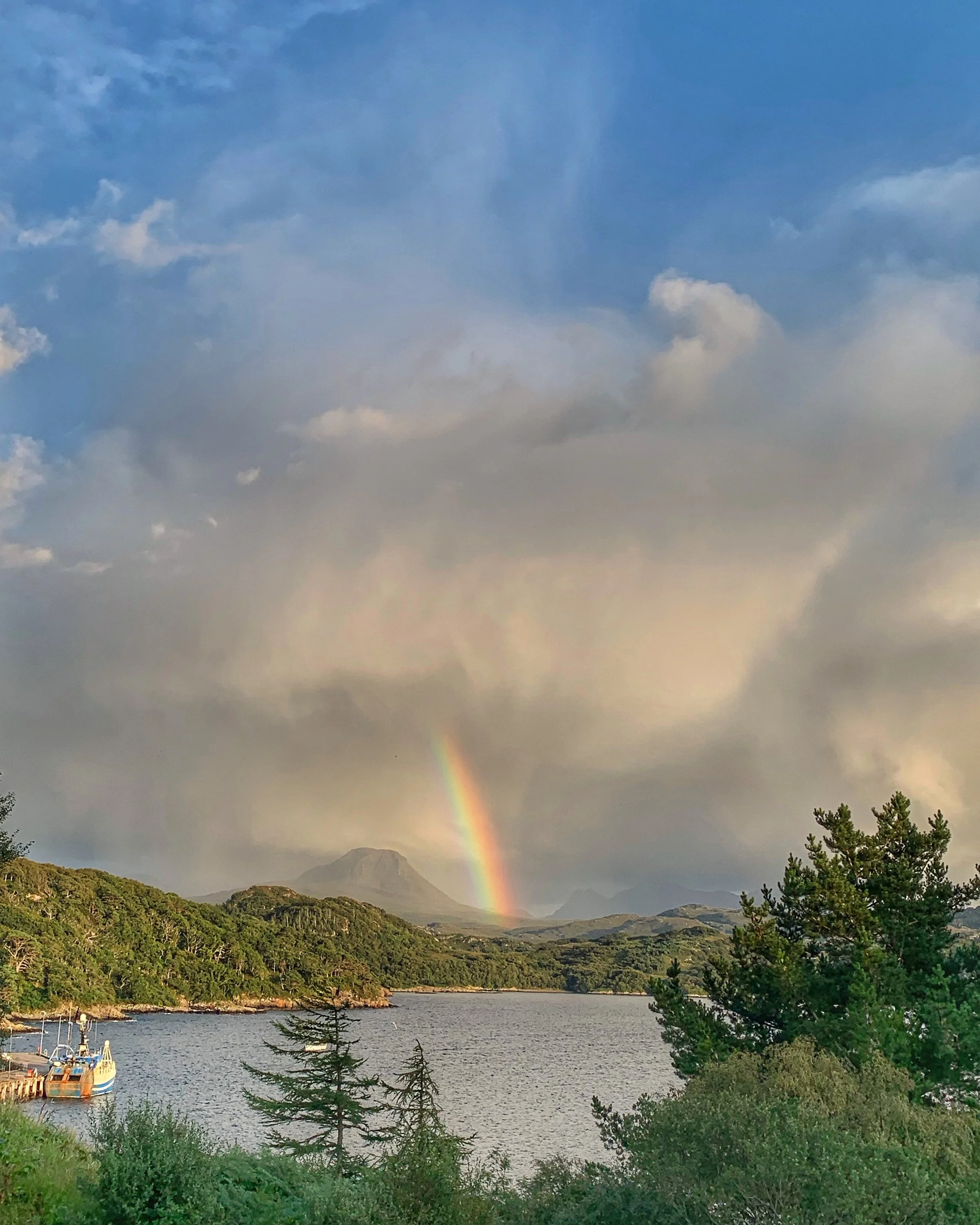 49684FF6-0E88-4697-A7FD-F7A098CBEE34.JPG