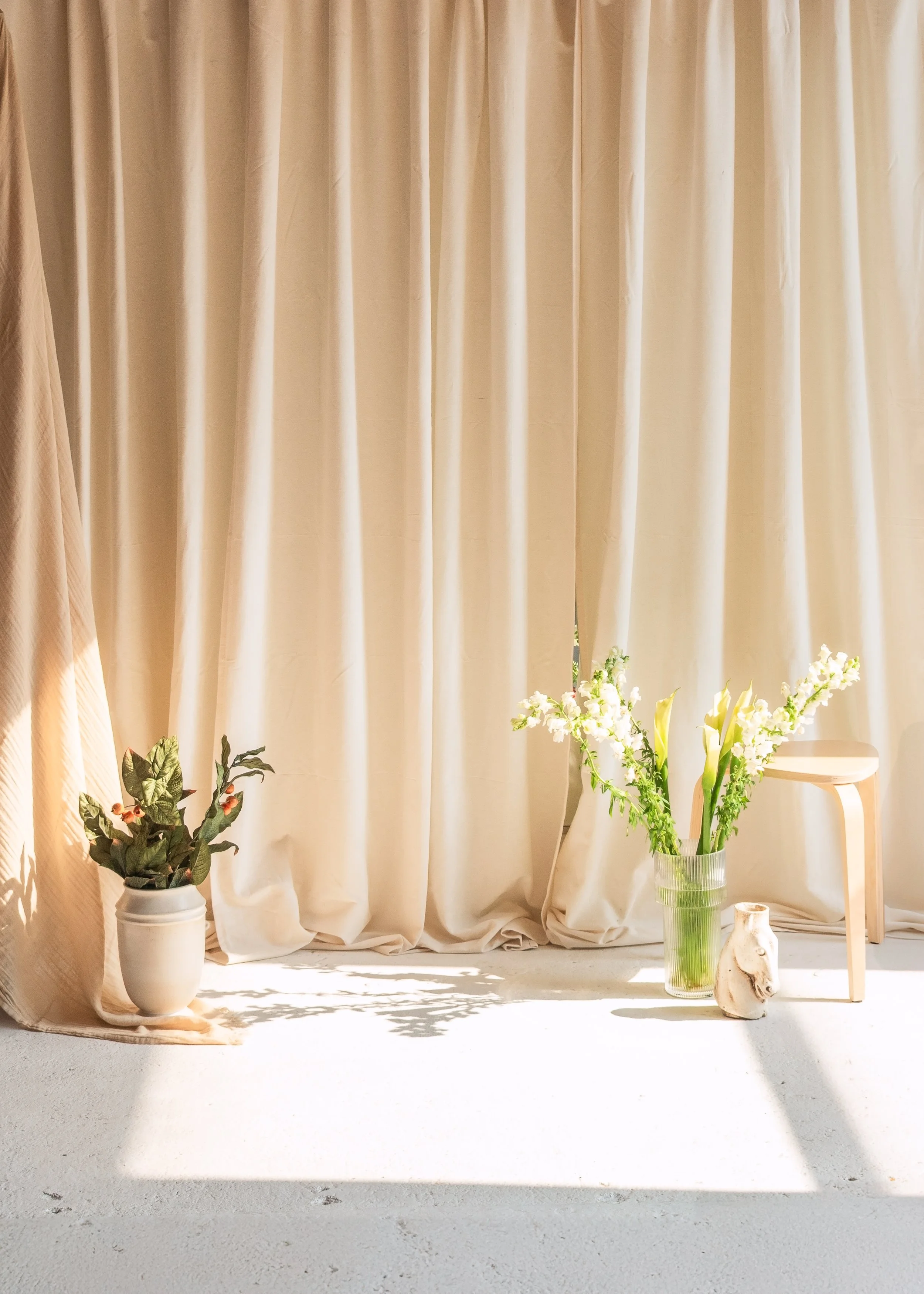 Cream-colored curtain with natural sunlight and shadows, decorated with potted plants and flowers on the floor.