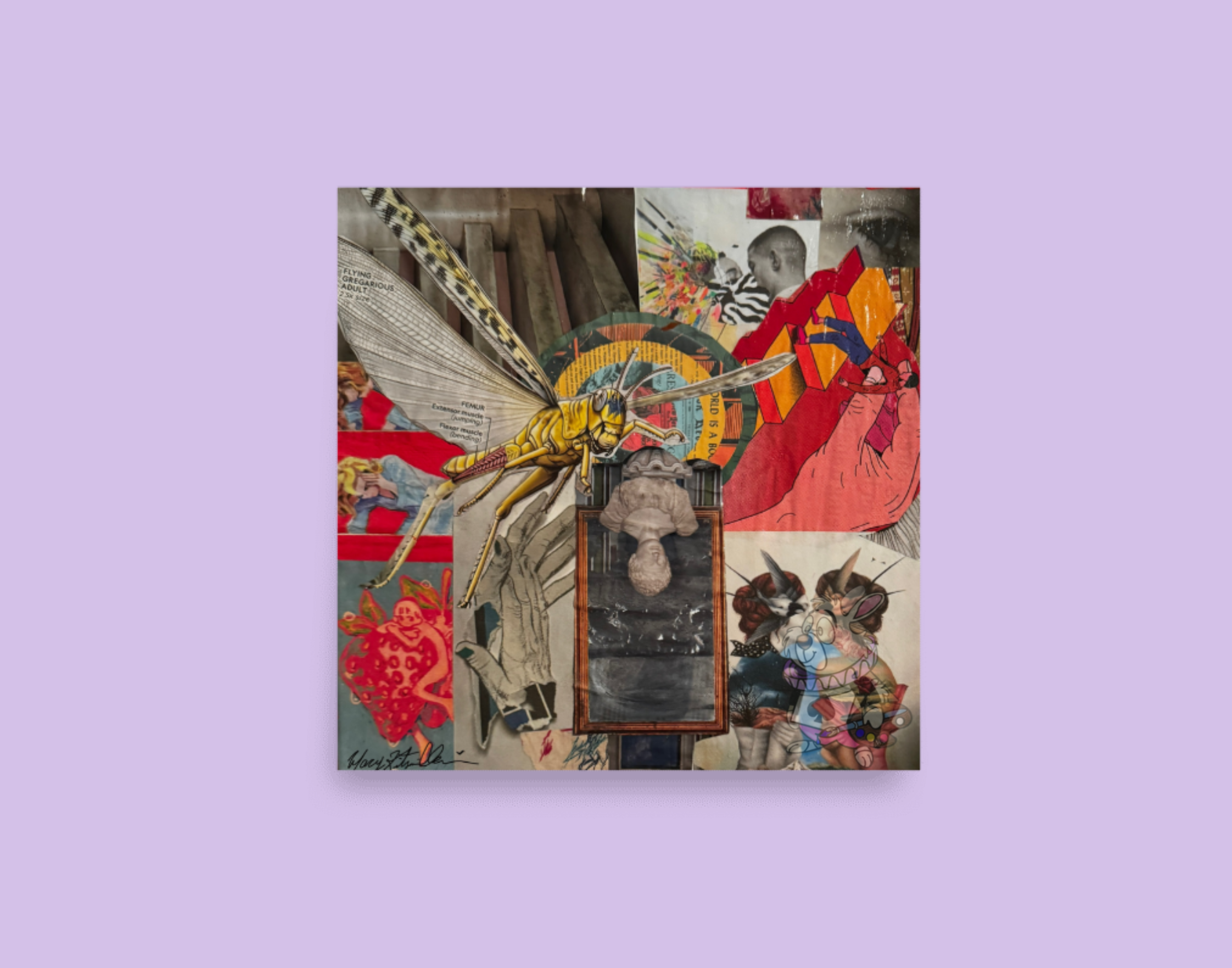Dragonfly 12x12.png