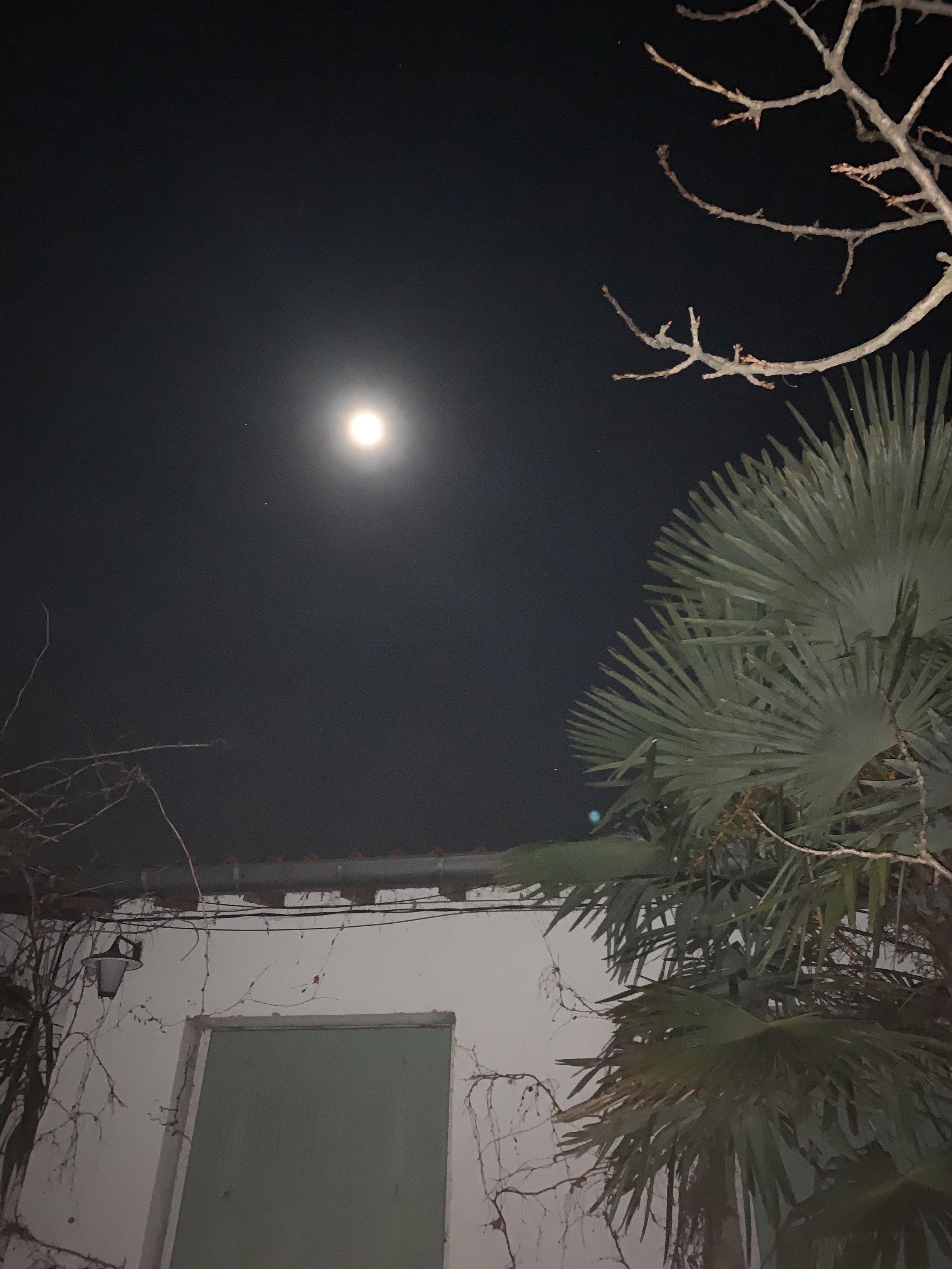 M4TIC & INCCCX - SANDSTORM