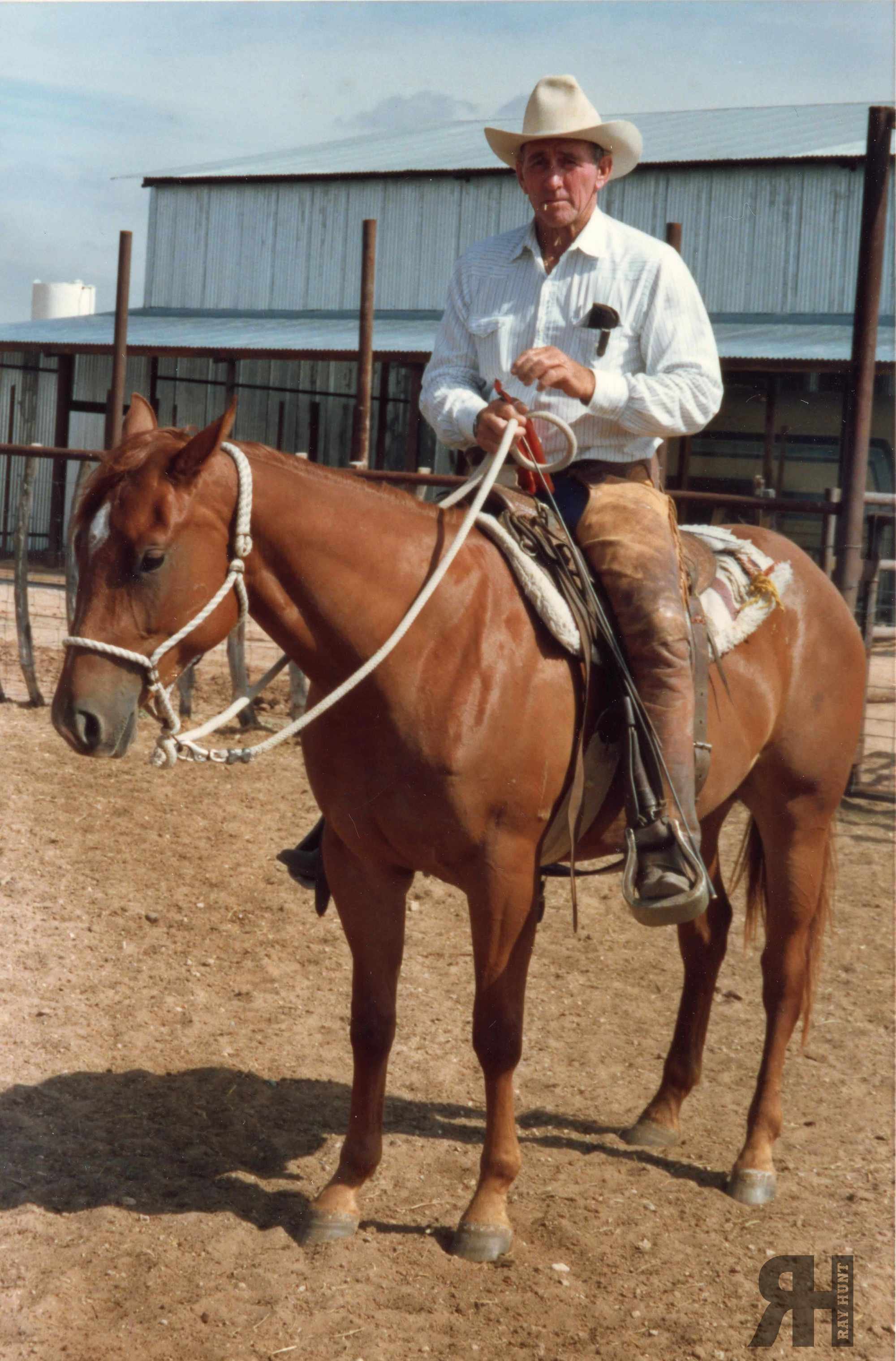 Ray Hunt seated on a young horse. - Photograph from the Ray and Carolyn Hunt™ Family Archive.