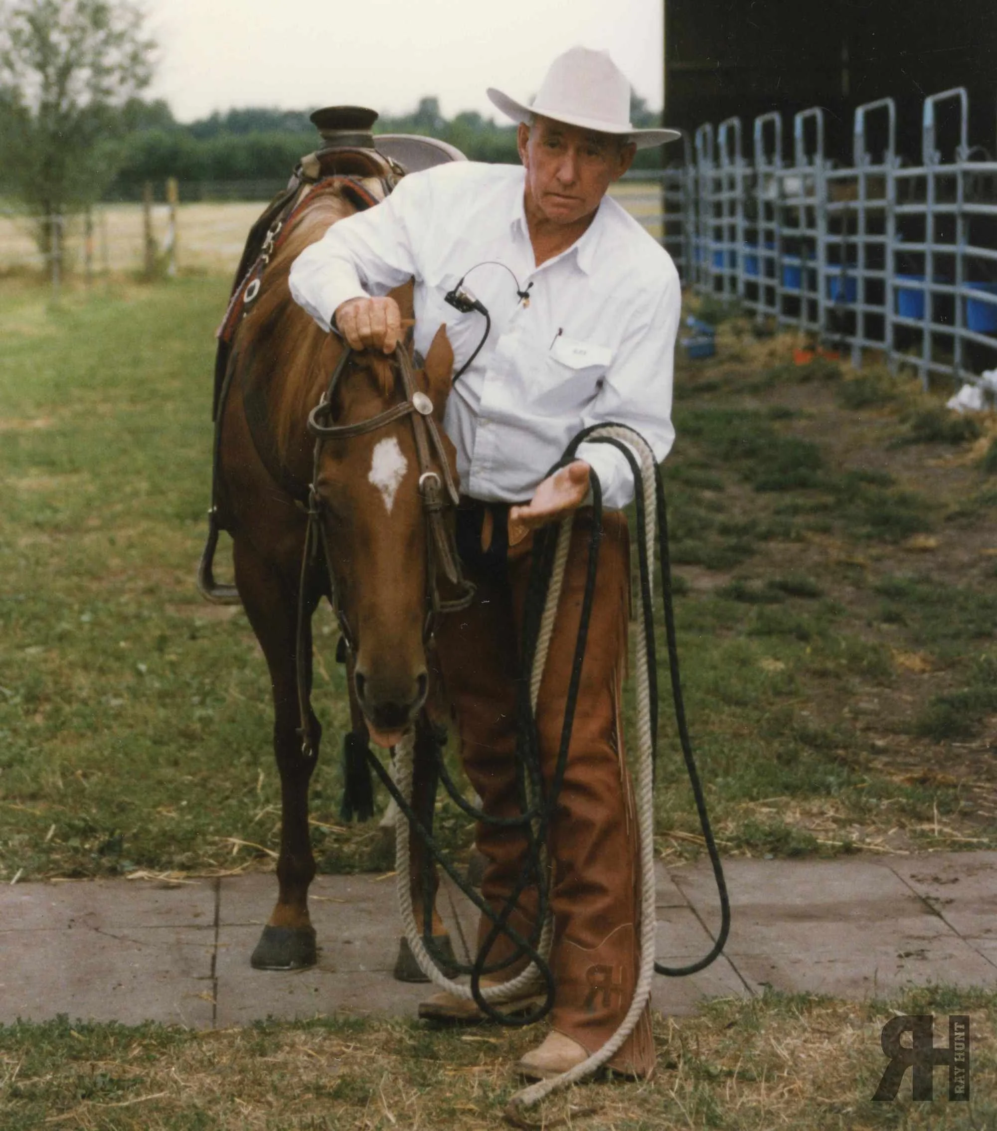 Allow the Horse to Learn