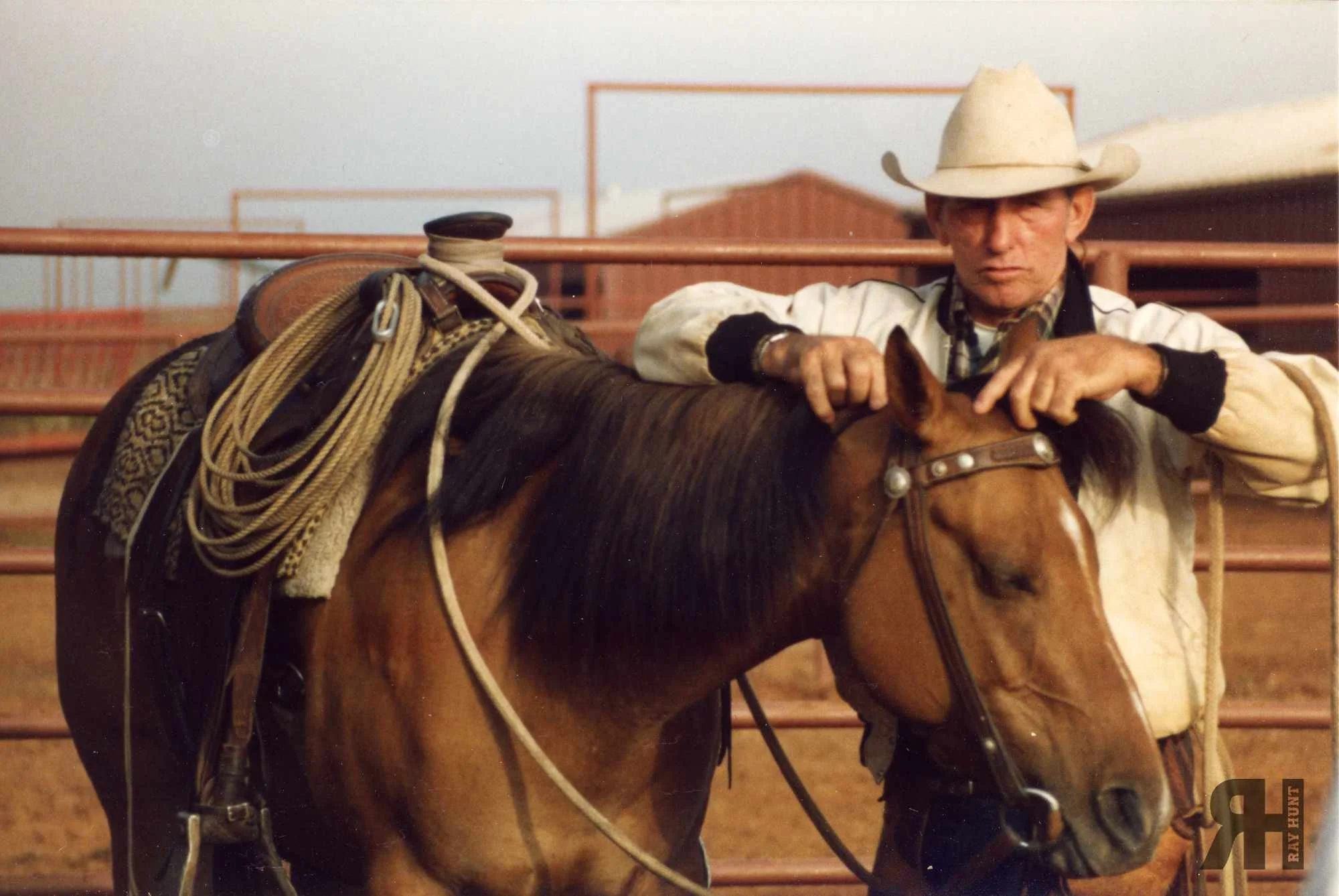 Read the Horse's Expression