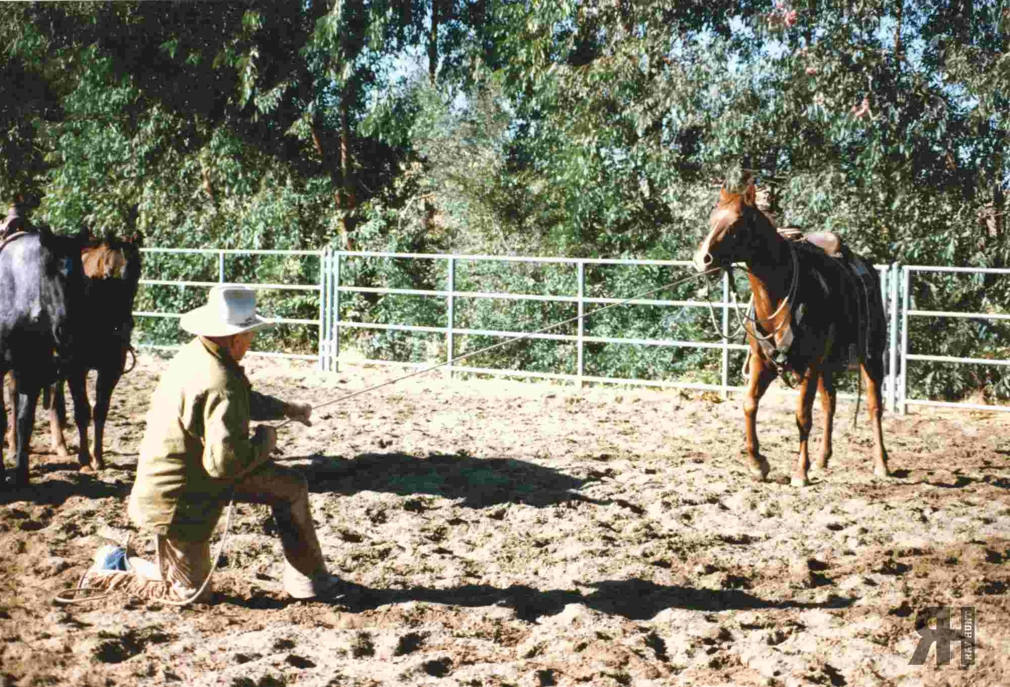 Don't worry if he doesn't get it right at first. He just doesn't know.