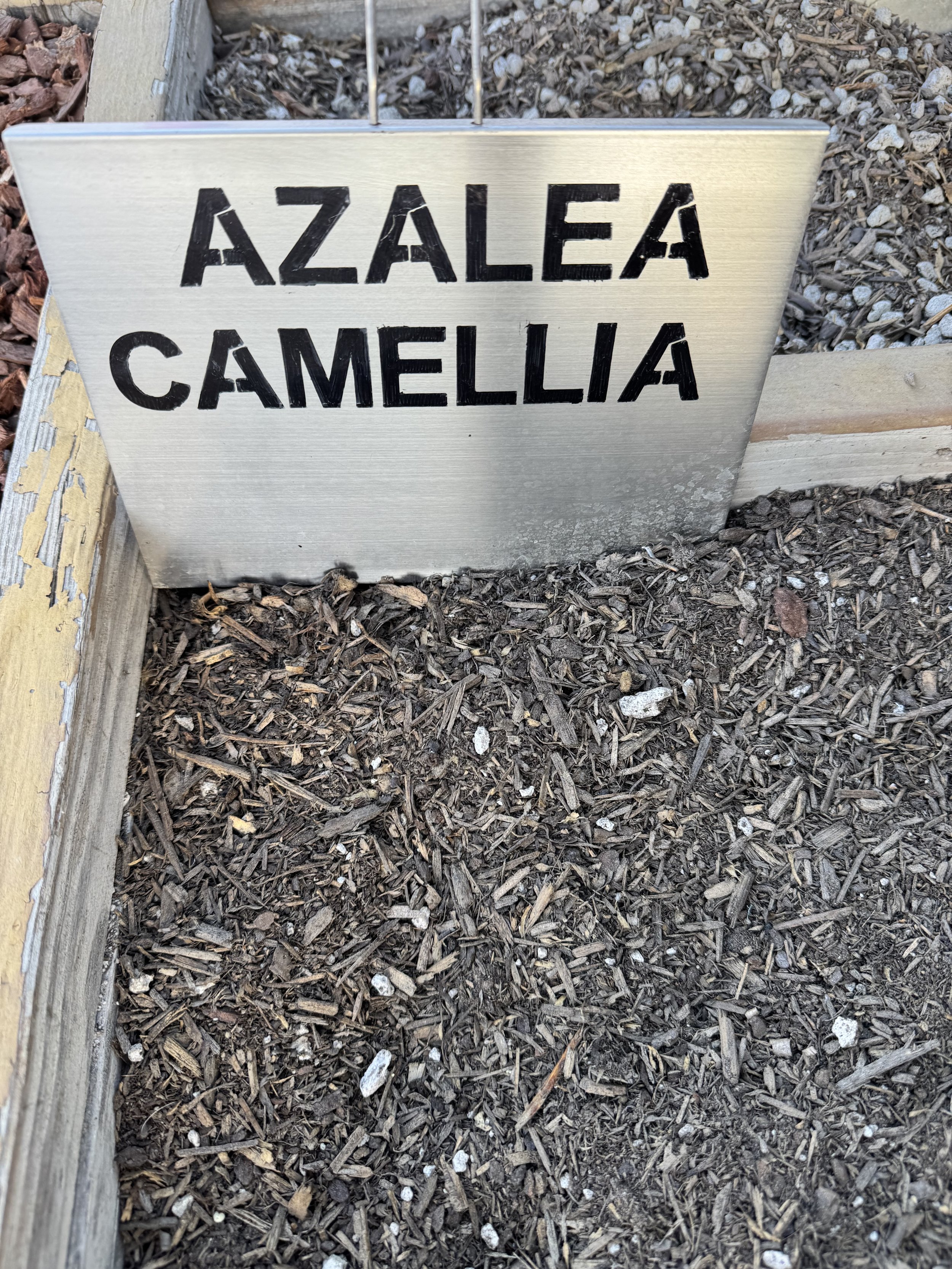 Azalea Camellia Mulch