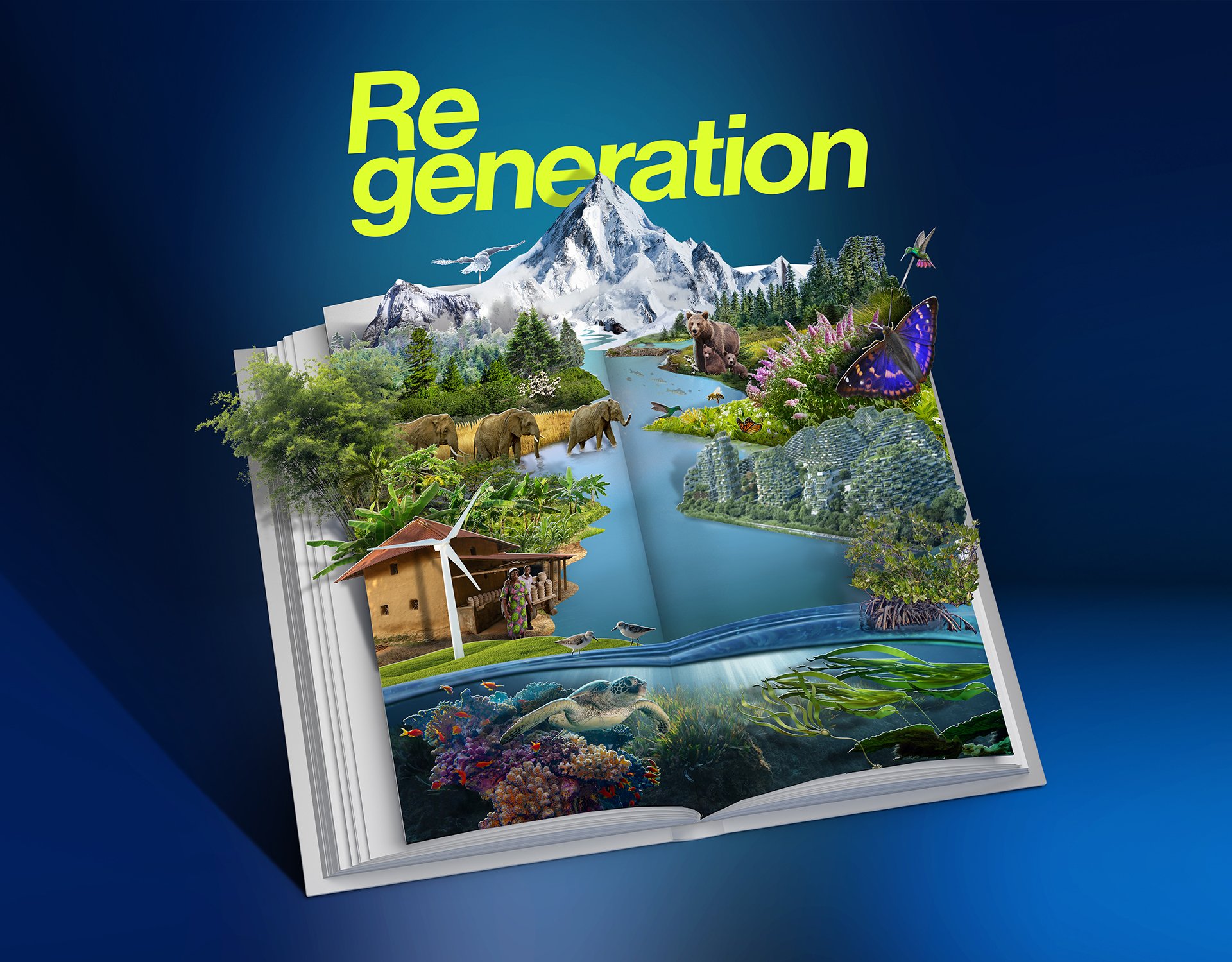 Popup-Book copy.jpg