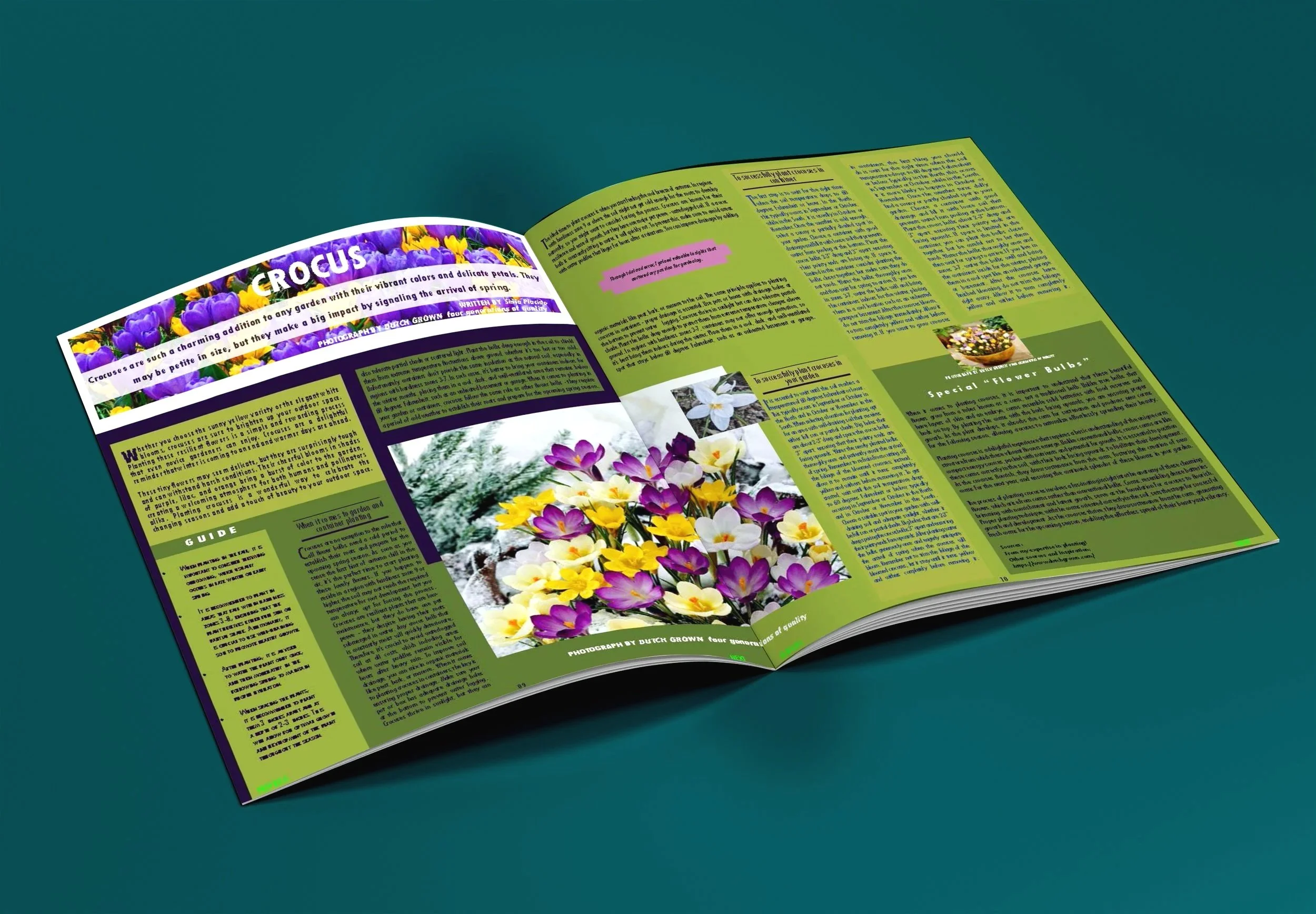 Magazine-Mockup_A4.jpg
