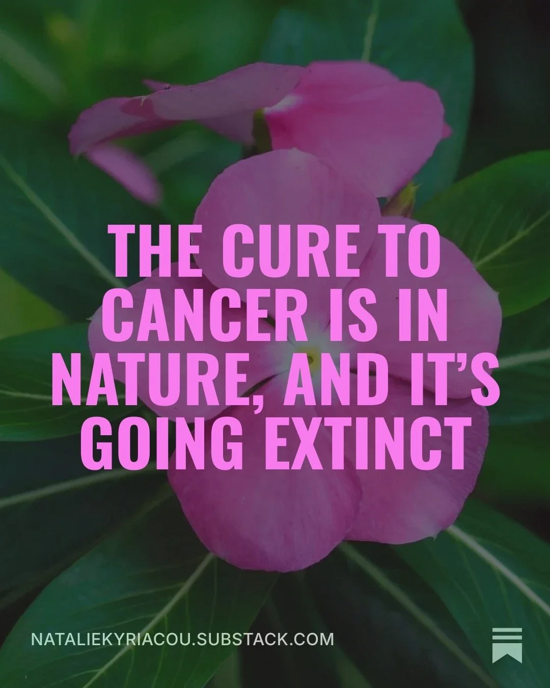 the cure to cancer in nature