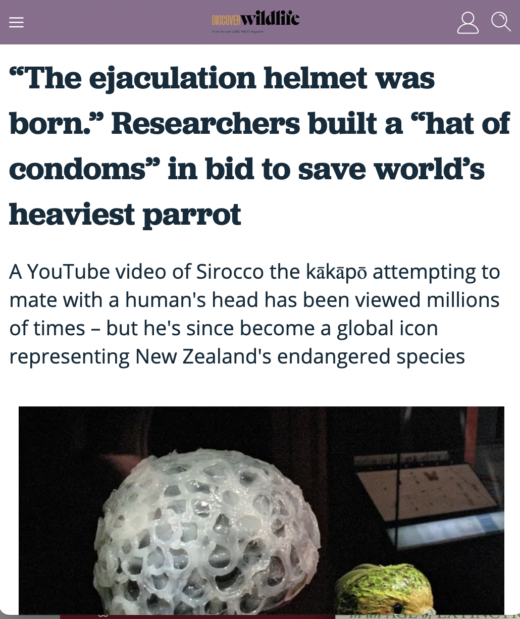 kakapo natalie kyriacou 