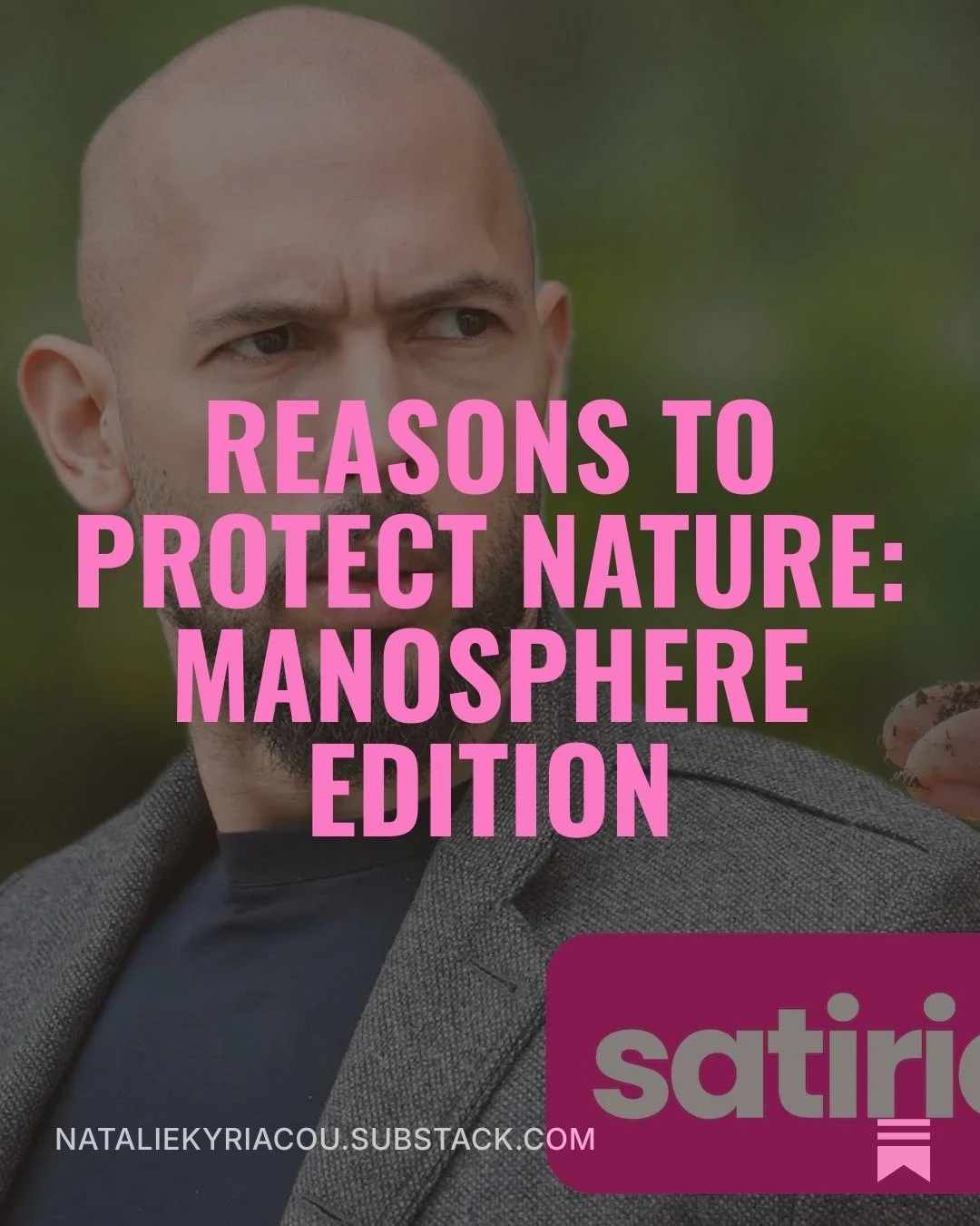 manosphere