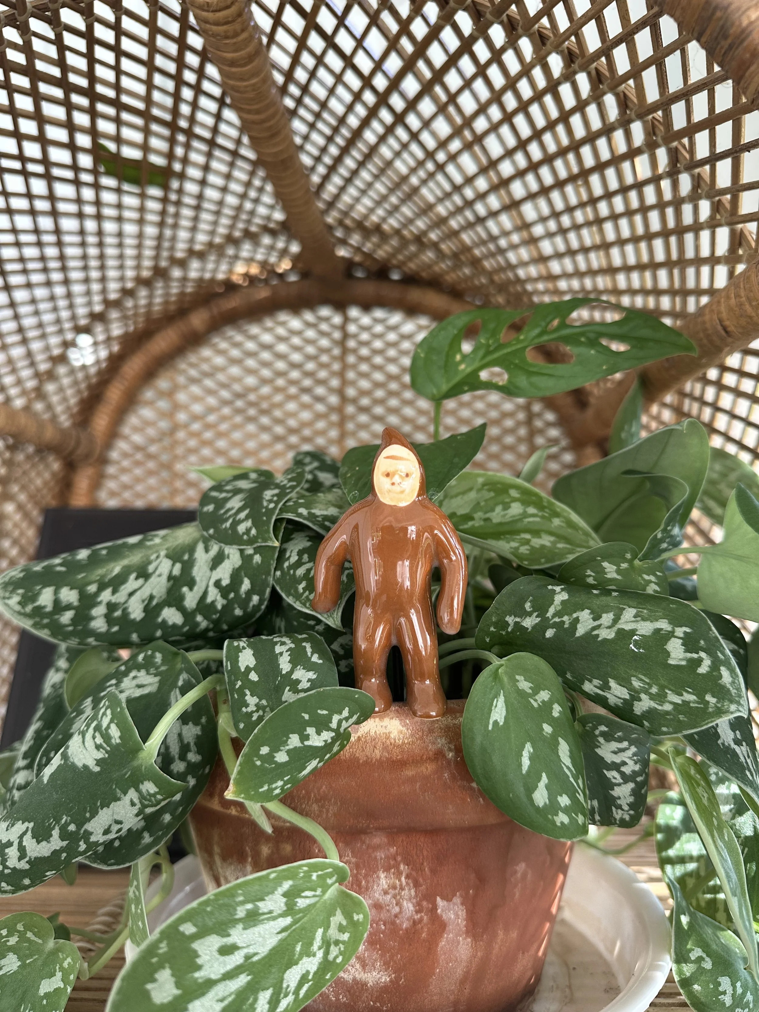 Bigfoot Plant Buddy