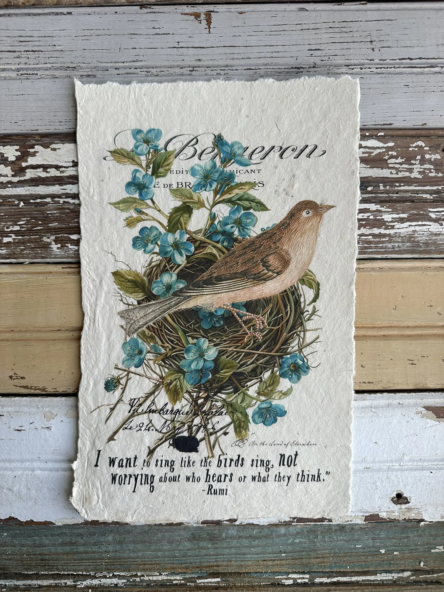 Artisan Paper Prints
