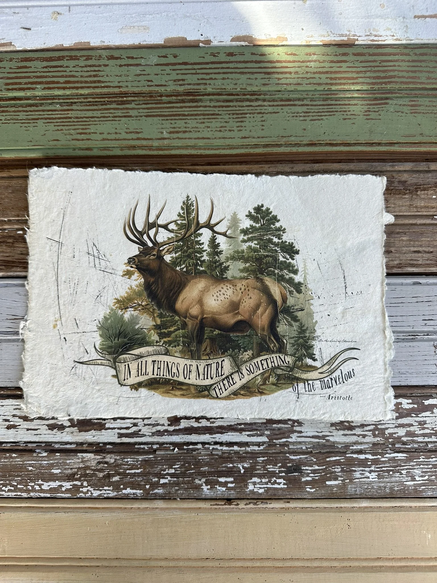 Artisan Paper Prints