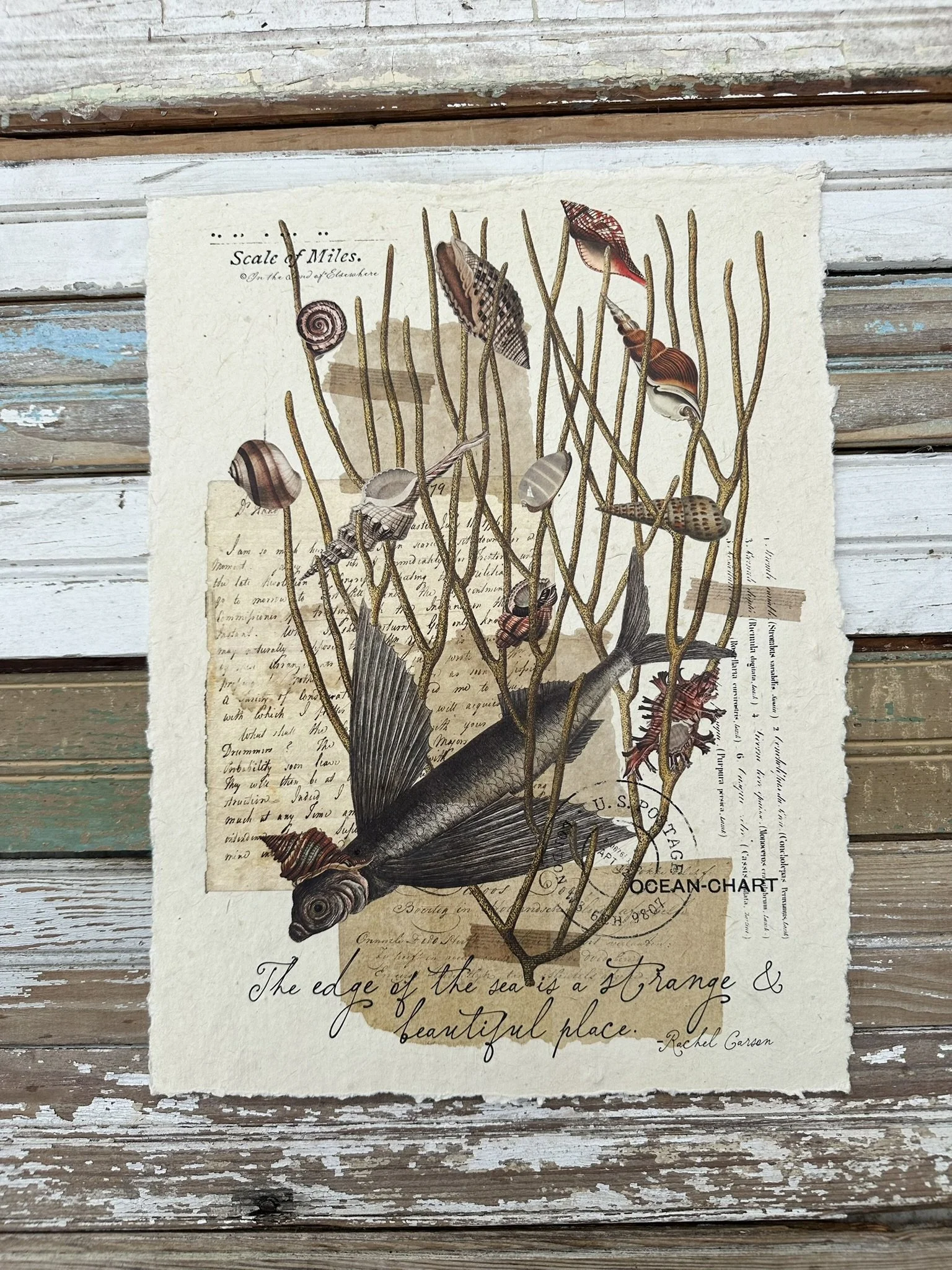 Artisan Paper Print