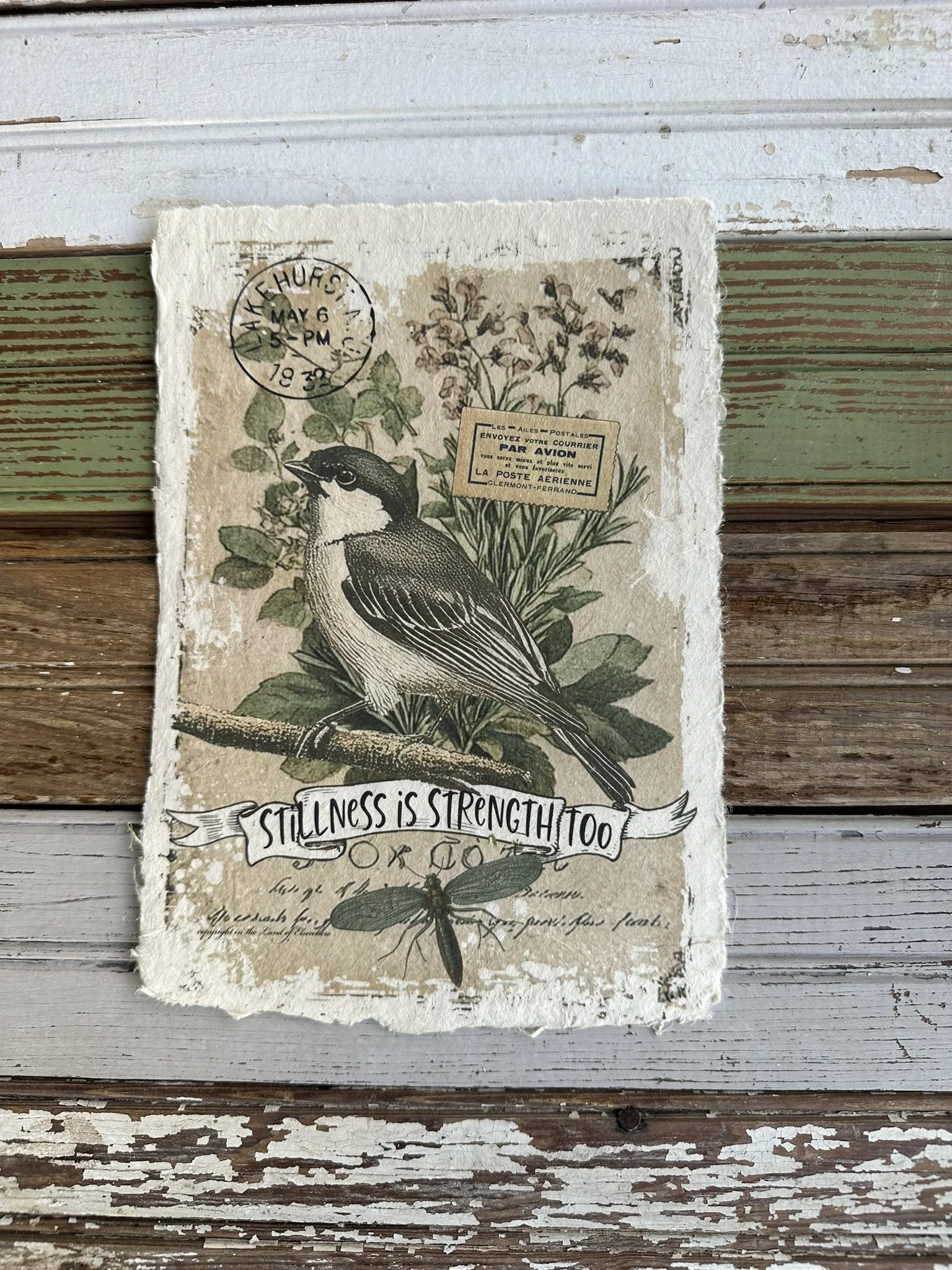 Artisan Paper Prints