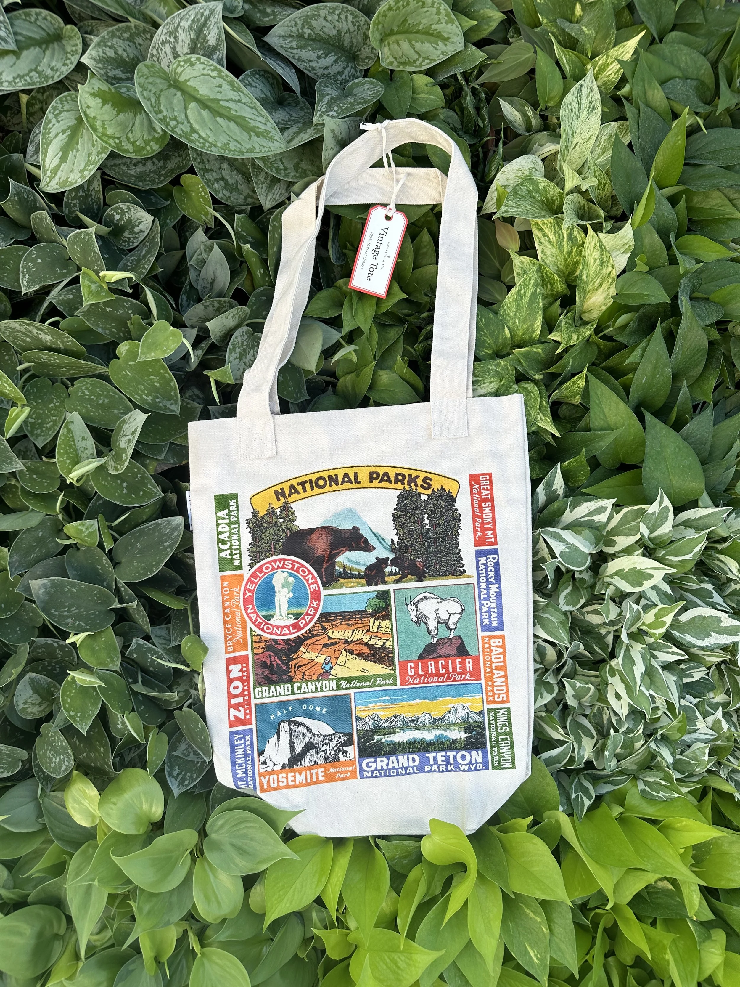 National Park Tote Bag