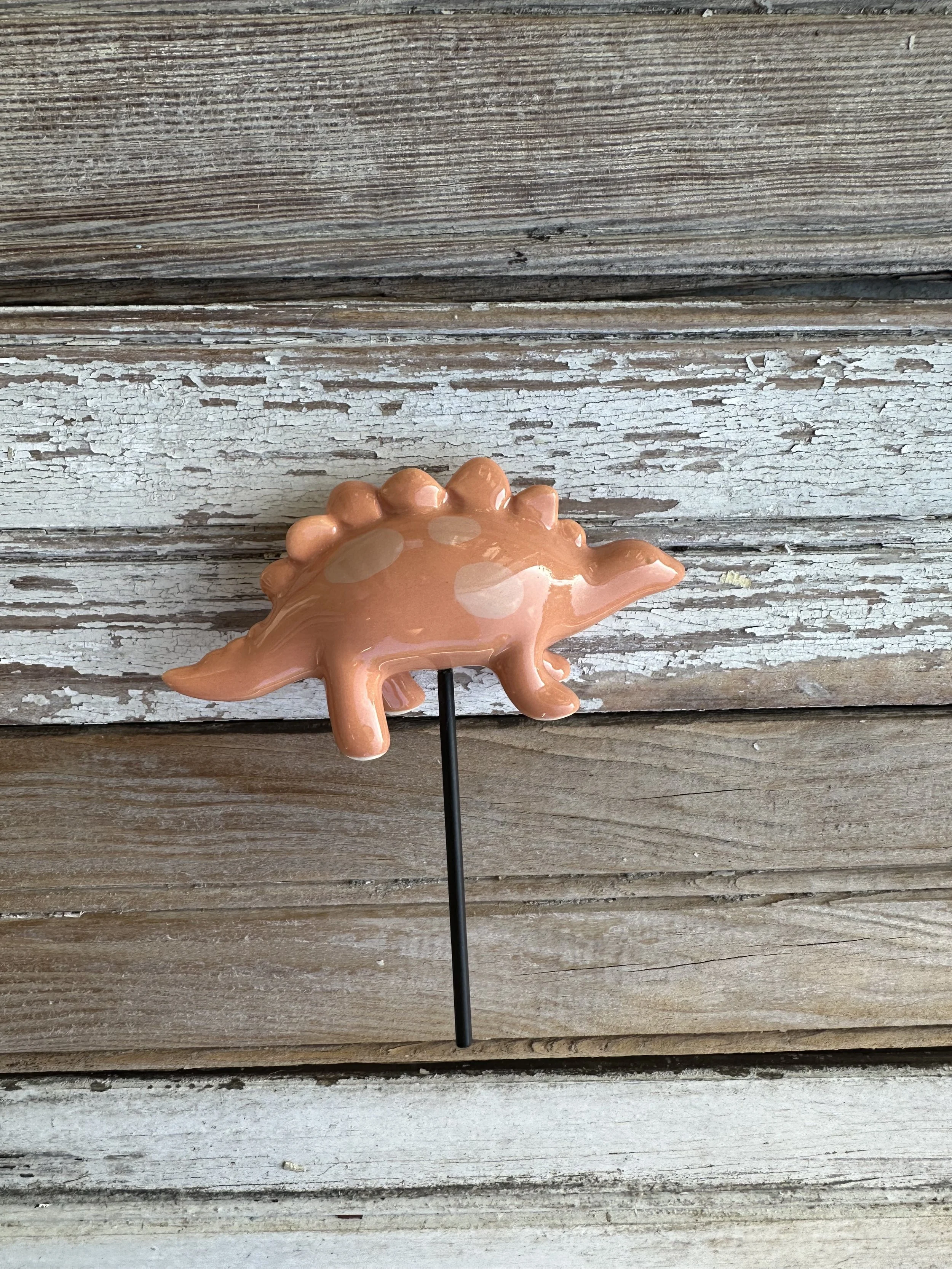 Dinosaur Plant Buddy