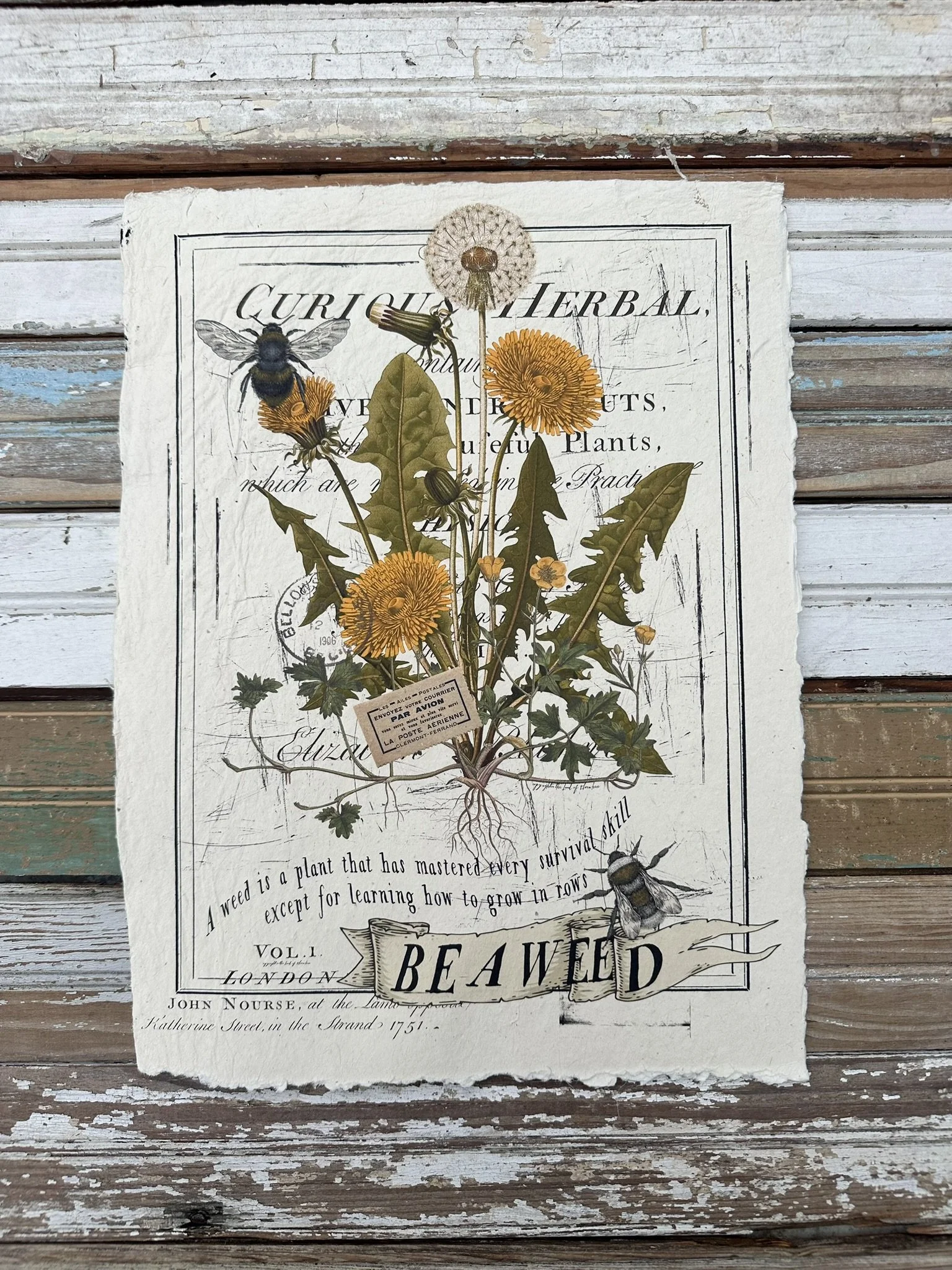 Artisan Paper Print