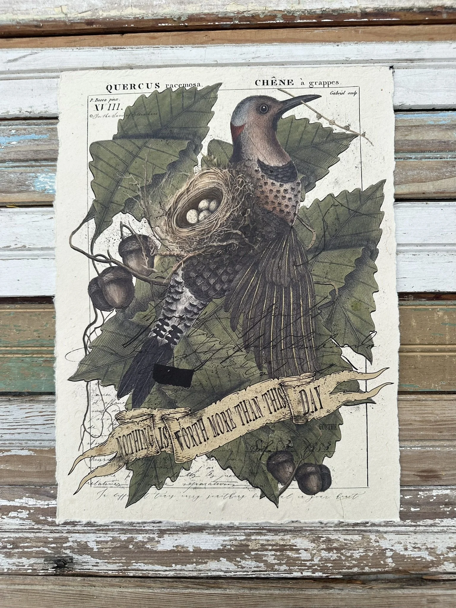 Artisan Paper Print