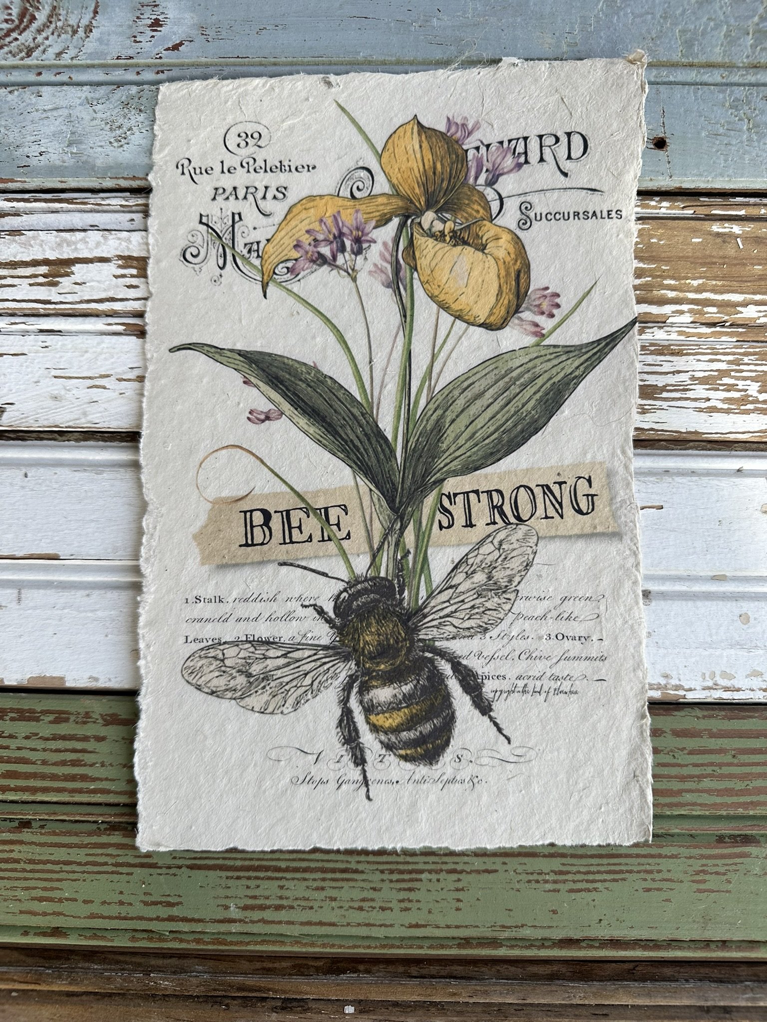Artisan Paper Prints