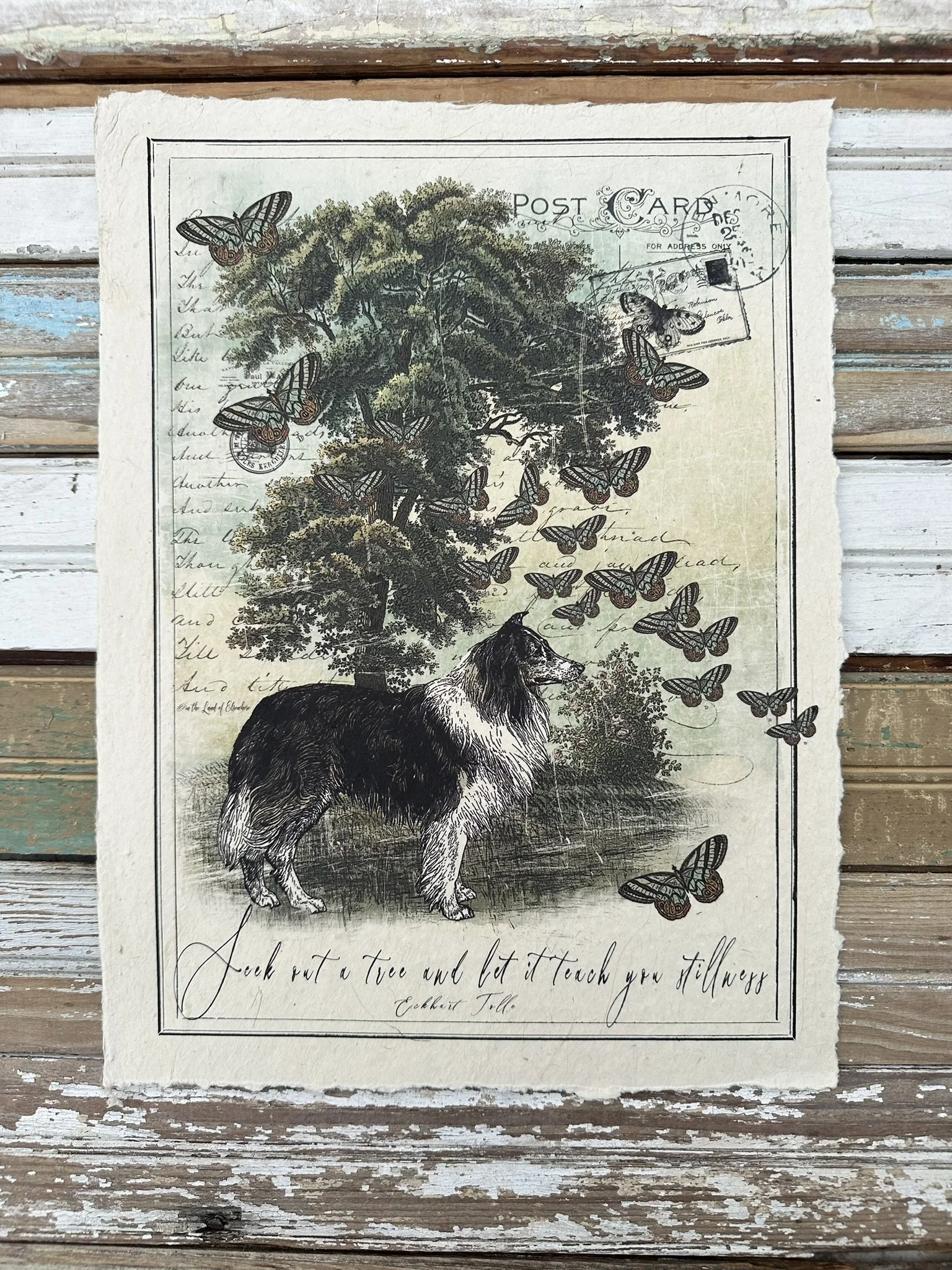 Artisan Paper Print