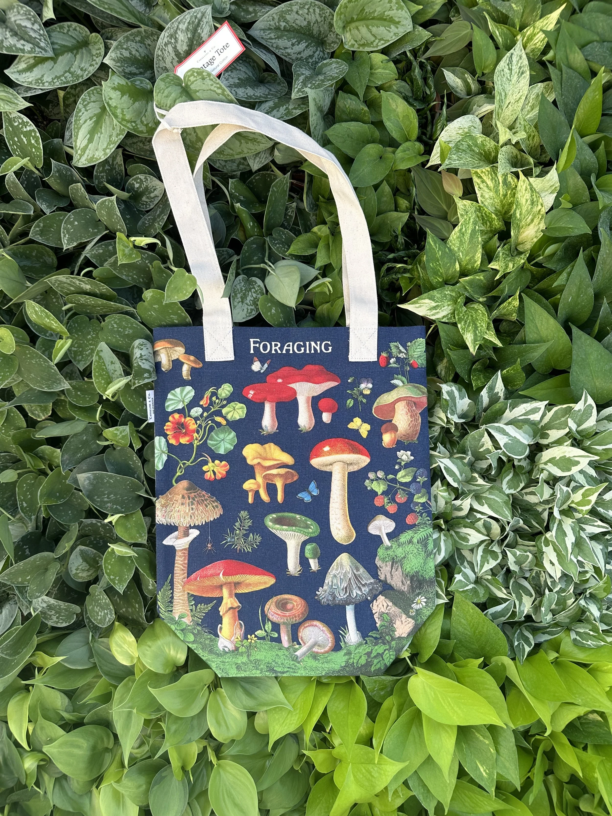 Shroom Tote Bag Version 1