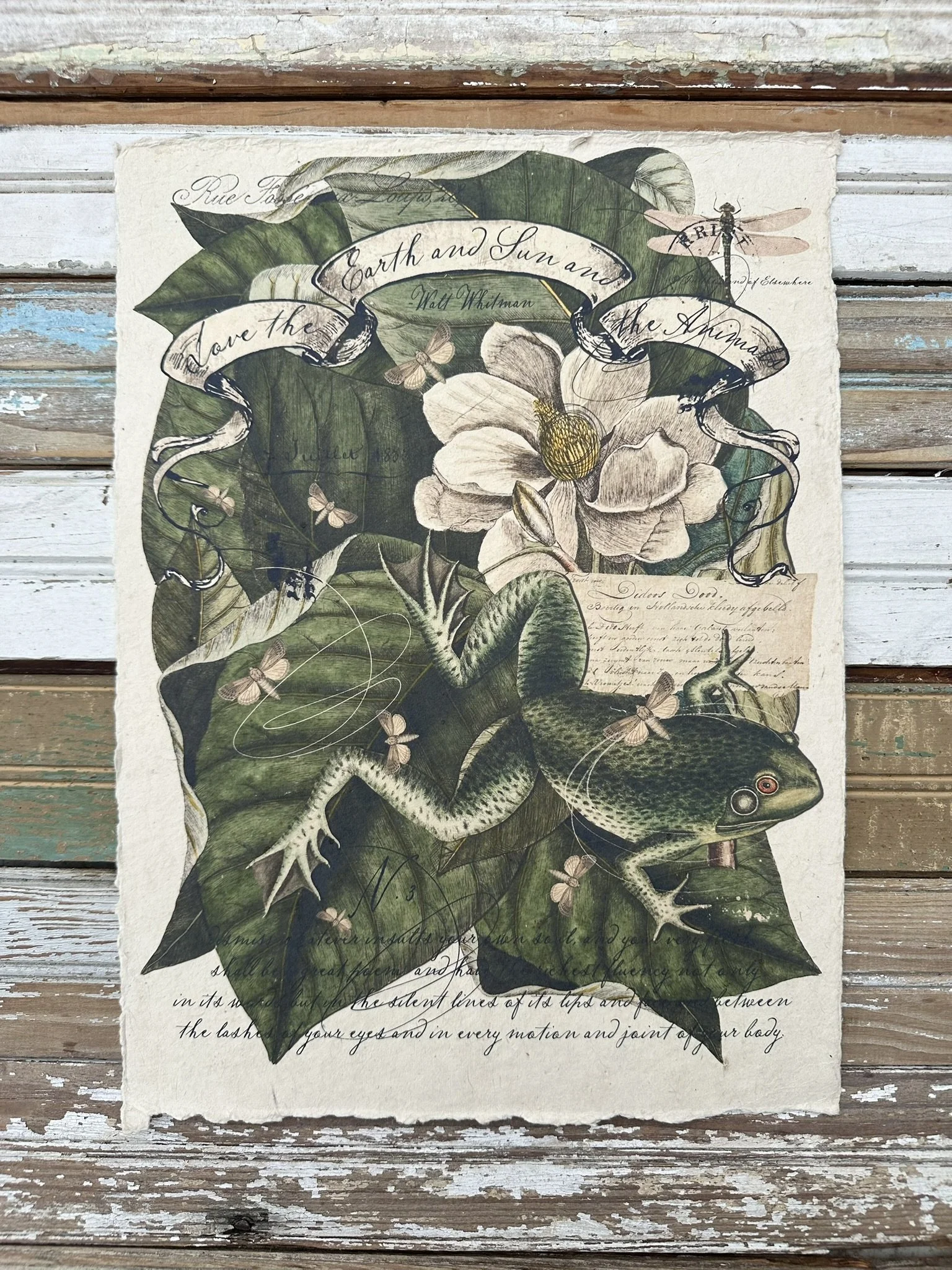 Artisan Paper Print