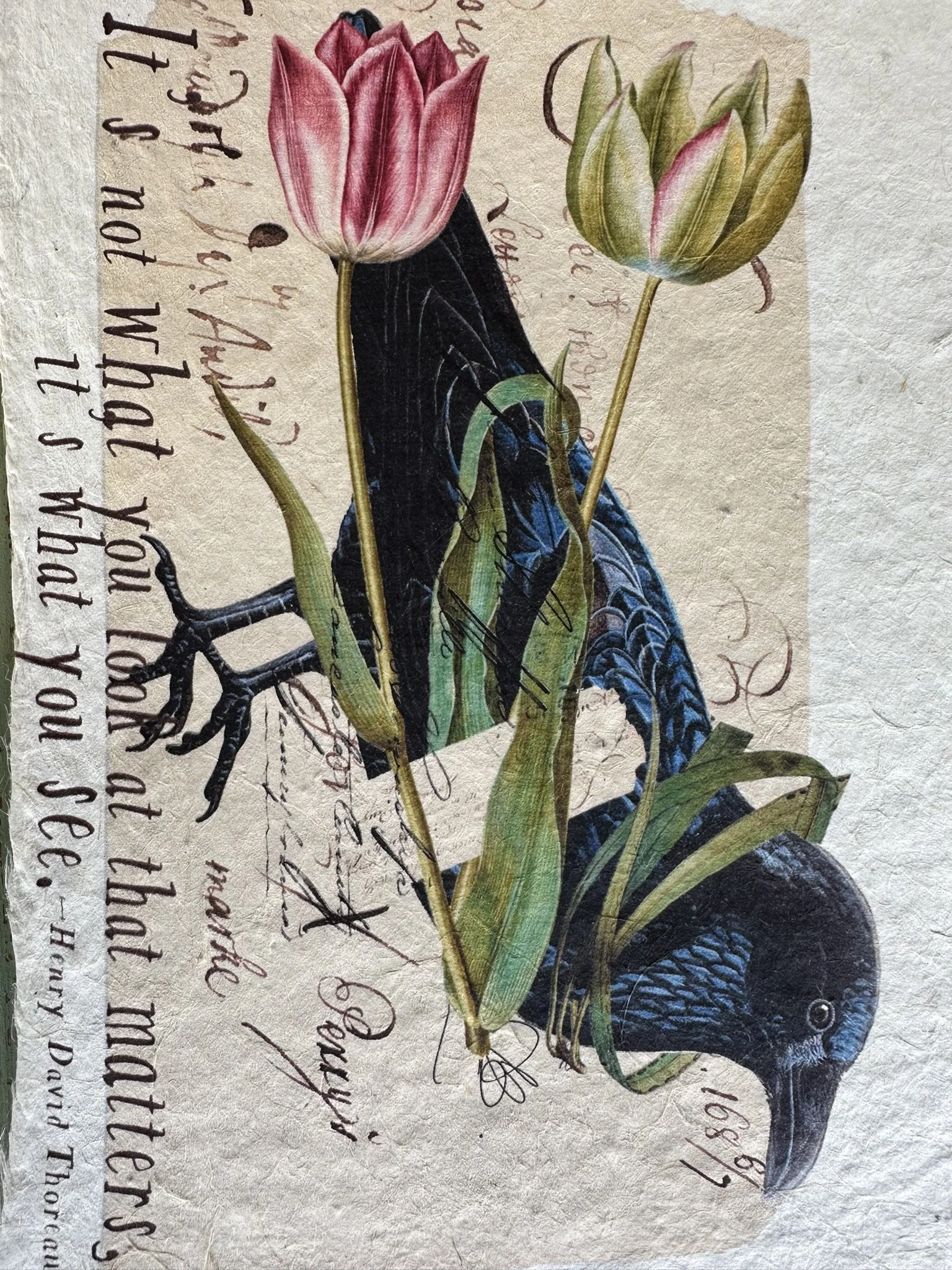 Artisan Paper Prints
