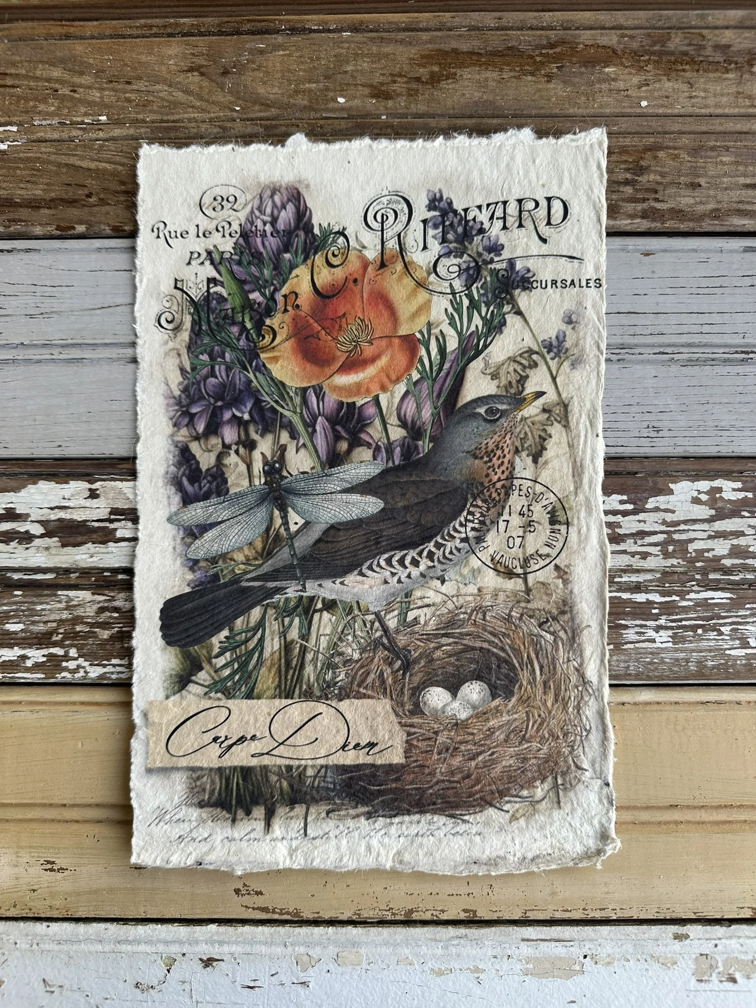 Artisan Paper Prints