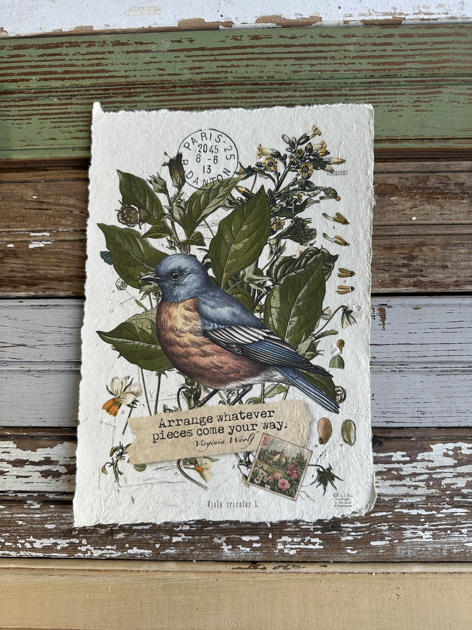 Artisan Paper Prints