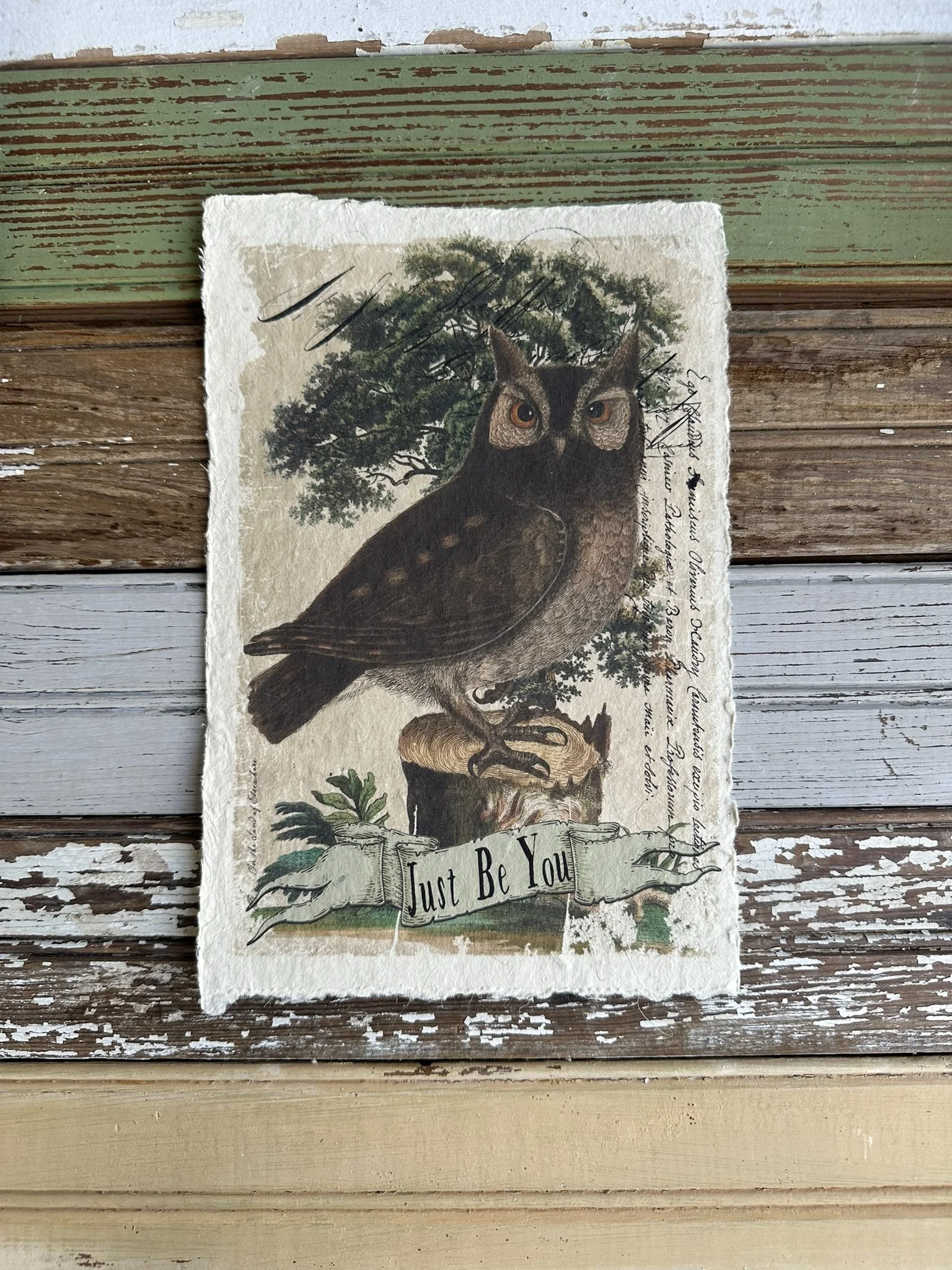 Artisan Paper Prints