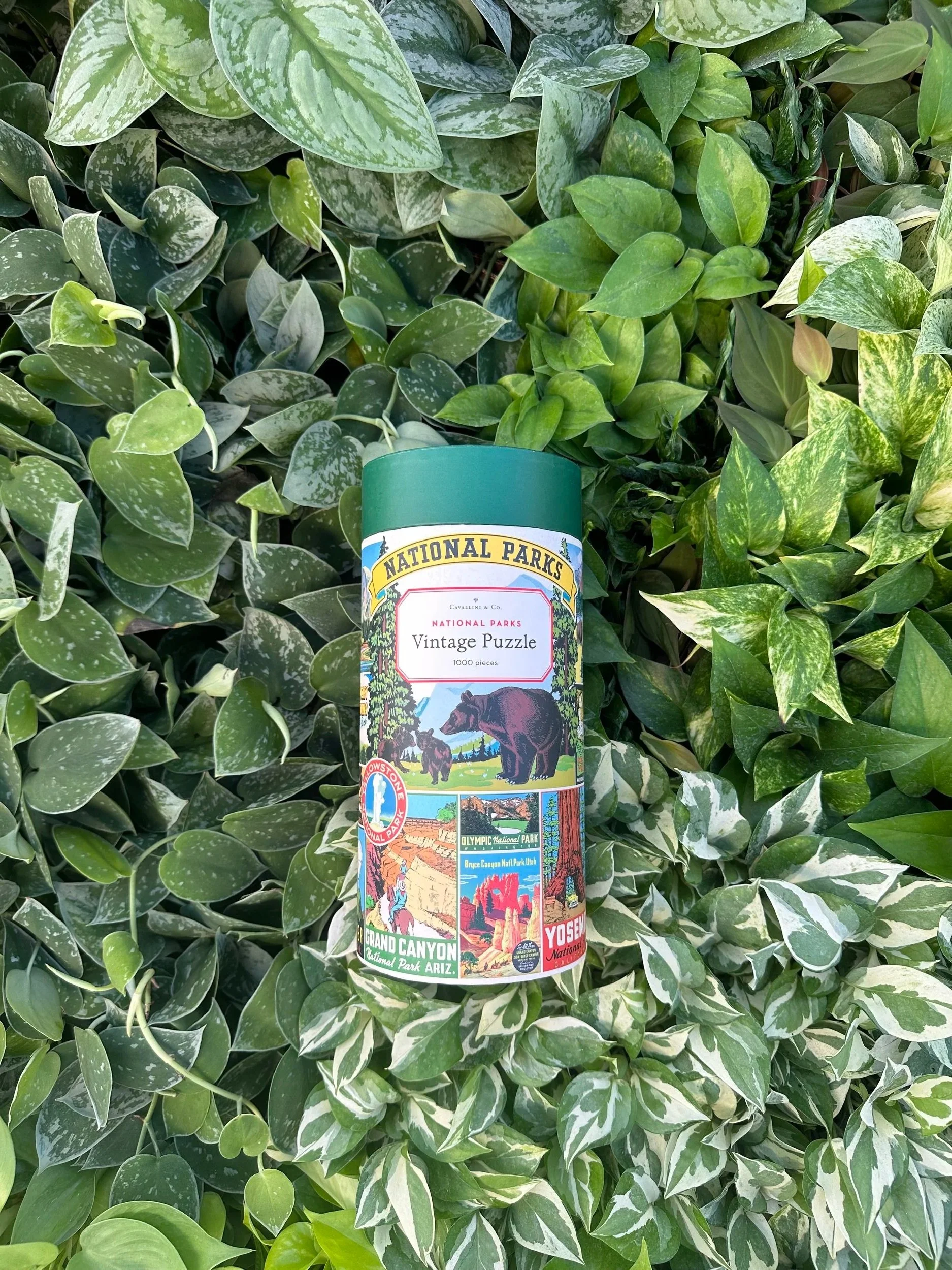 State Park Puzzle