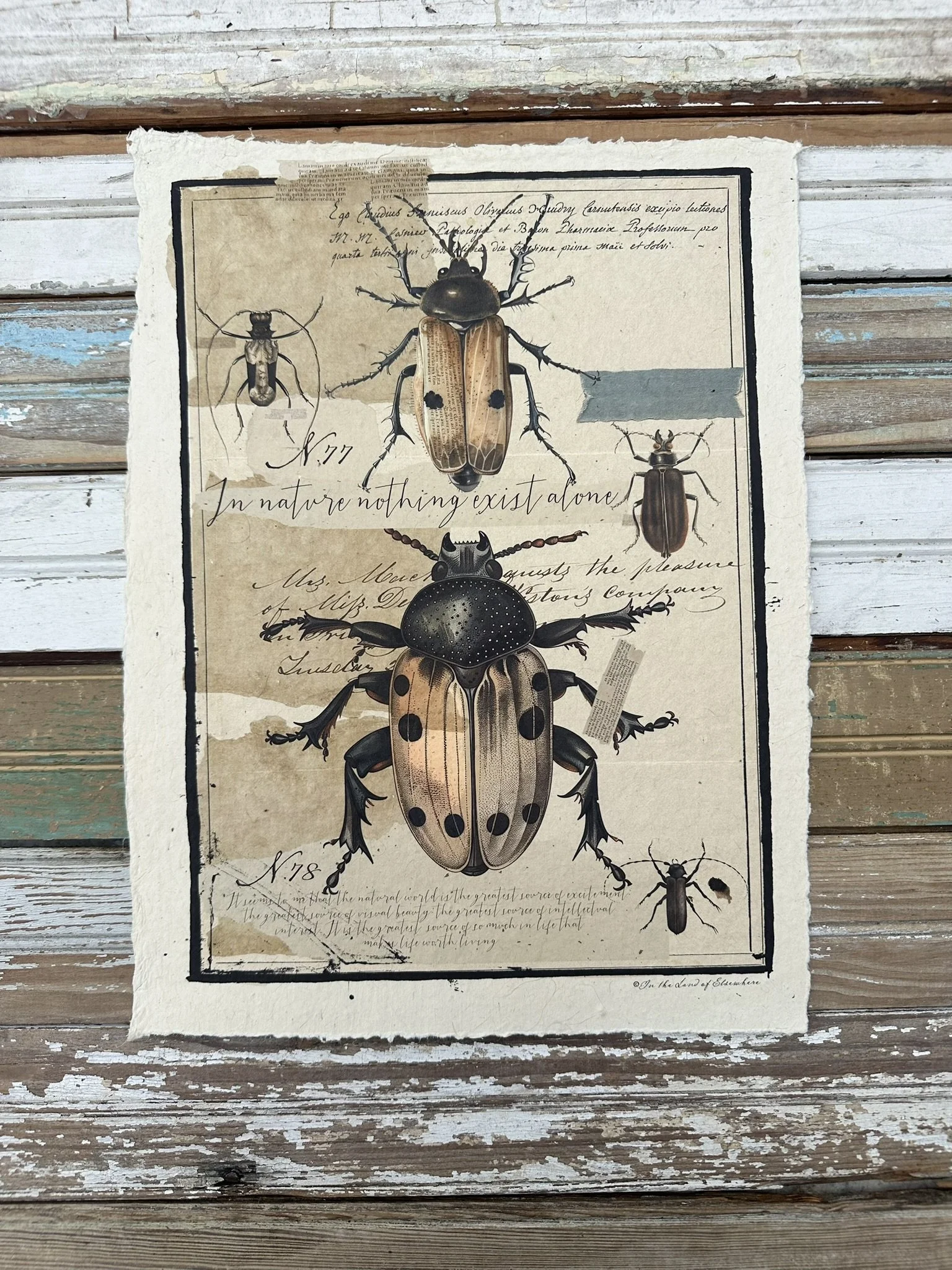 Artisan Paper Print