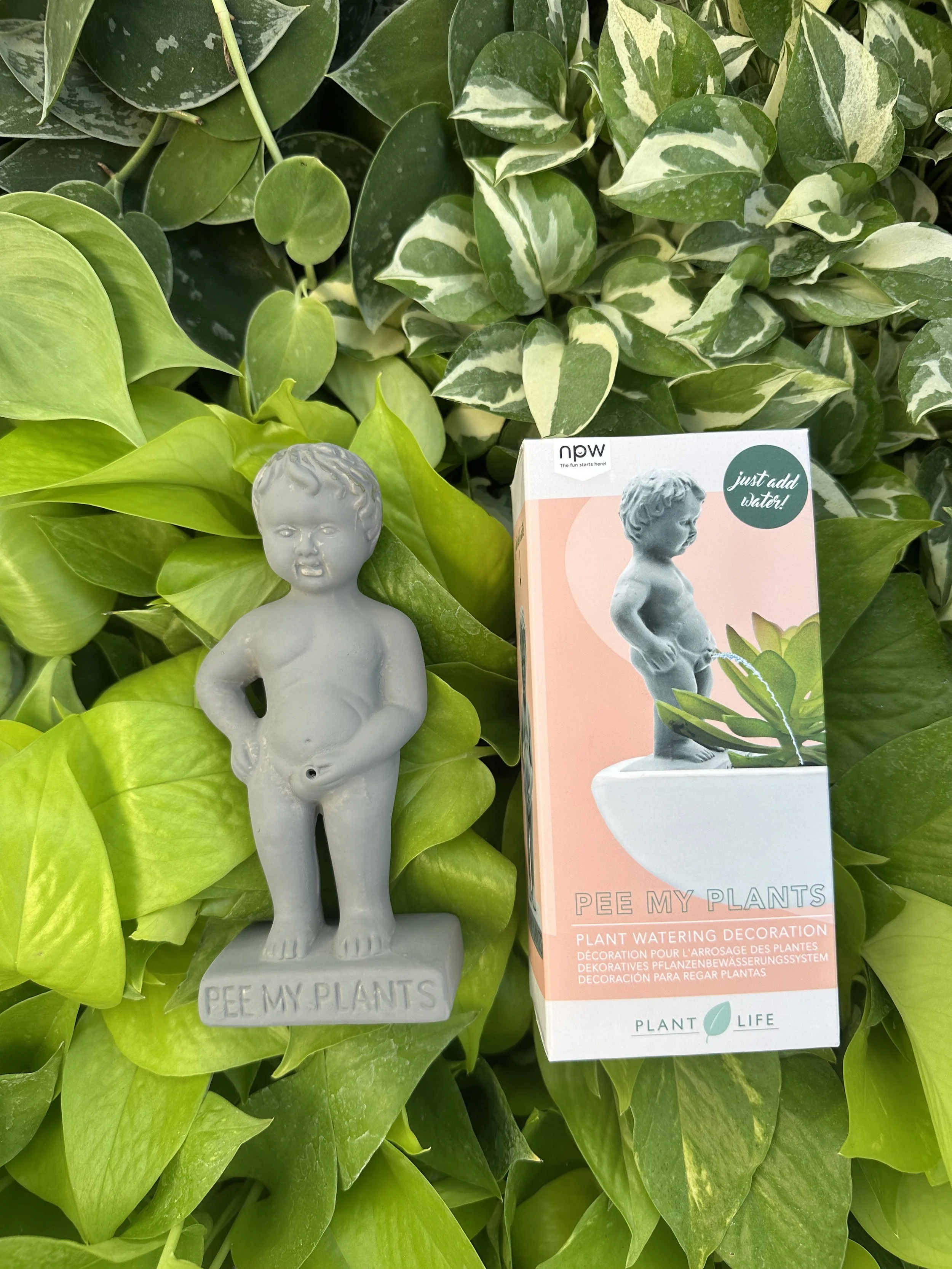 Pee My Plants Buddy