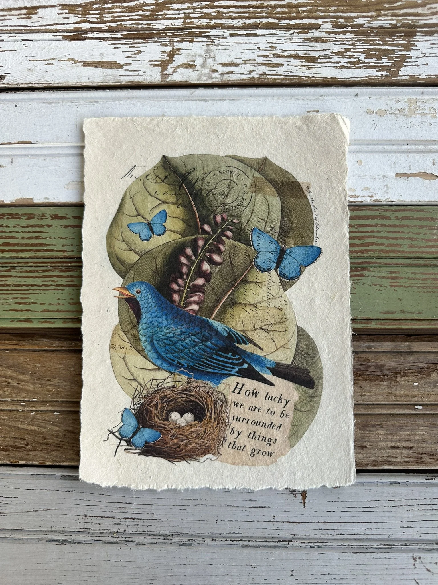 Artisan Paper Prints