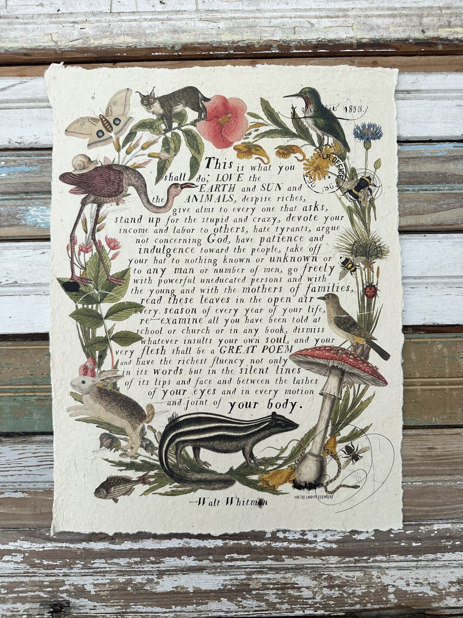 Artisan Paper Print