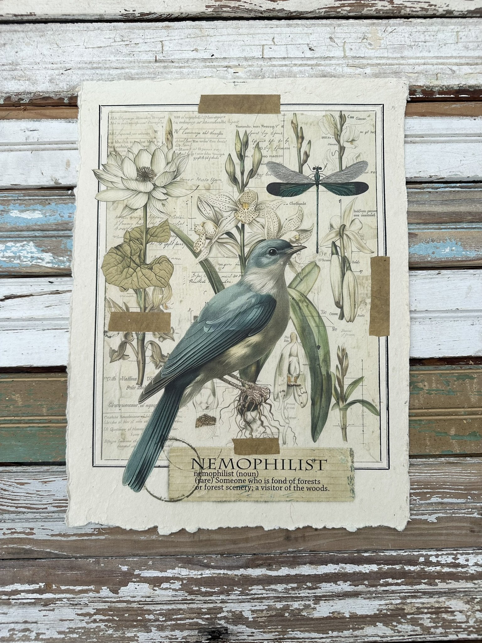 Artisan Paper Print