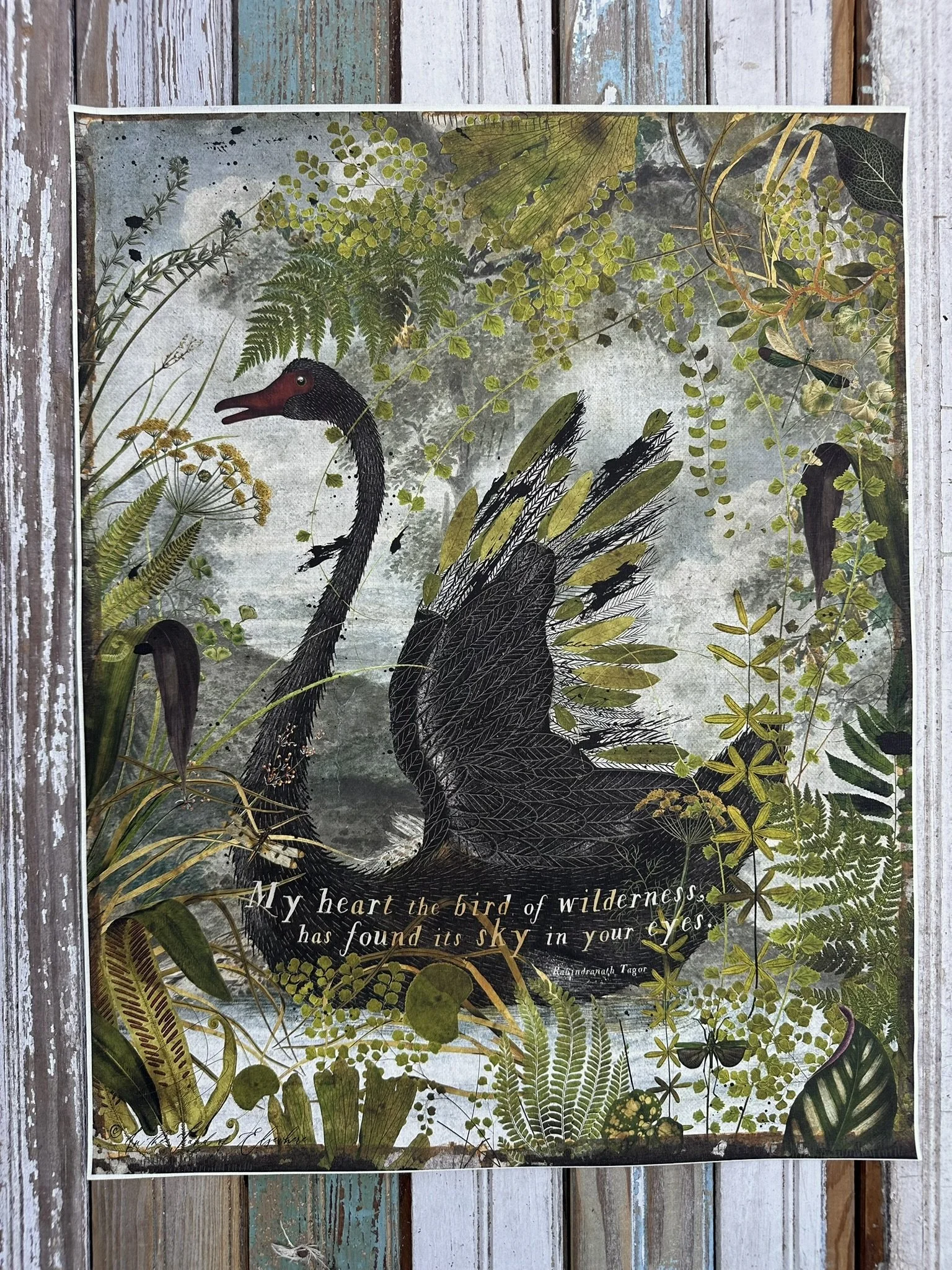 Canvas Print